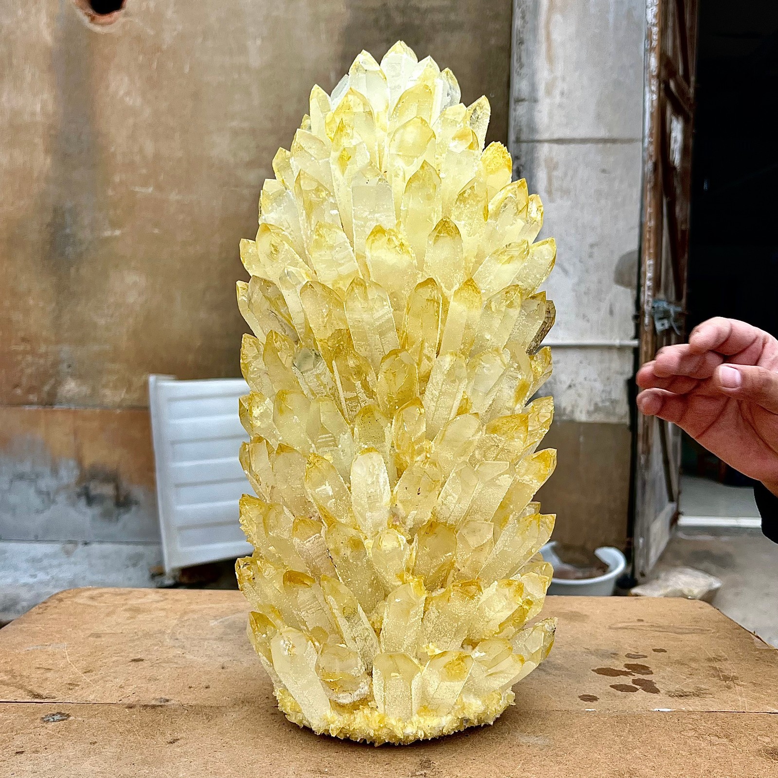 31.06LB Yellow Ghost Phantom Crystal Cluster Flower Raw Crystal Heal Quartz Deco