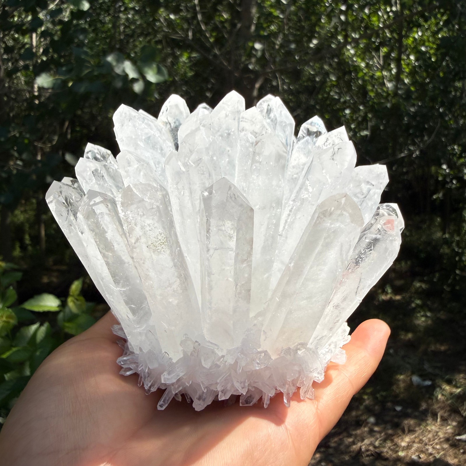 2.2LB Large Natural White Clear Quartz Cluster Crystal Mineral Healing 1pc
