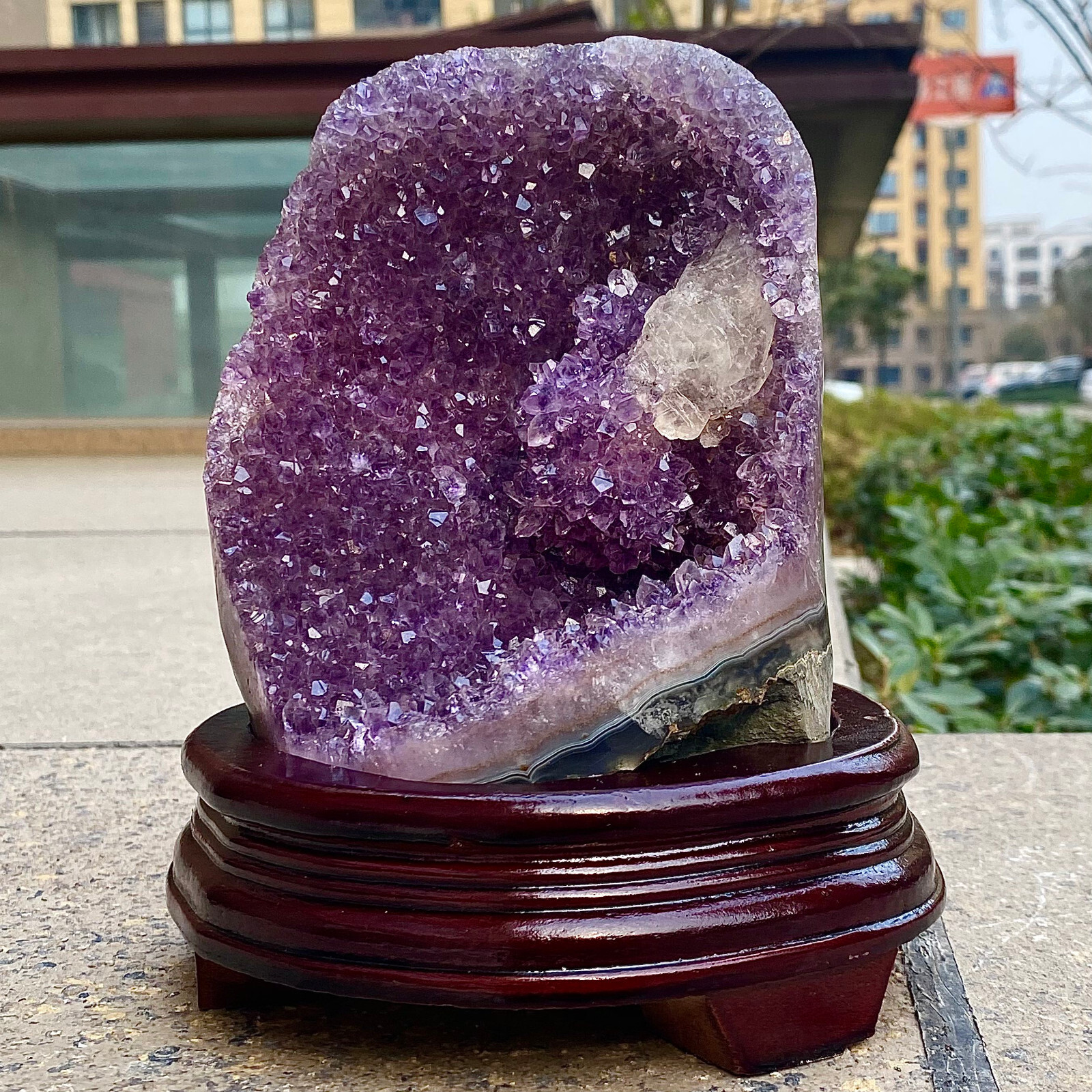 6.65LB Natural Uruguayan Amethyst Quartz Cave Geode Crystal Healing+base