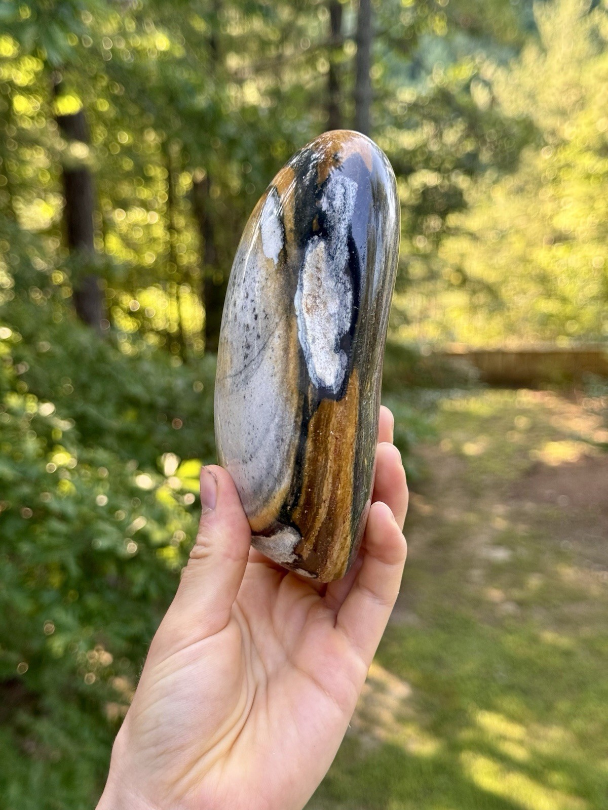 Large Polychrome Jasper Freeform 740g Polished Desert Jasper Display Stone