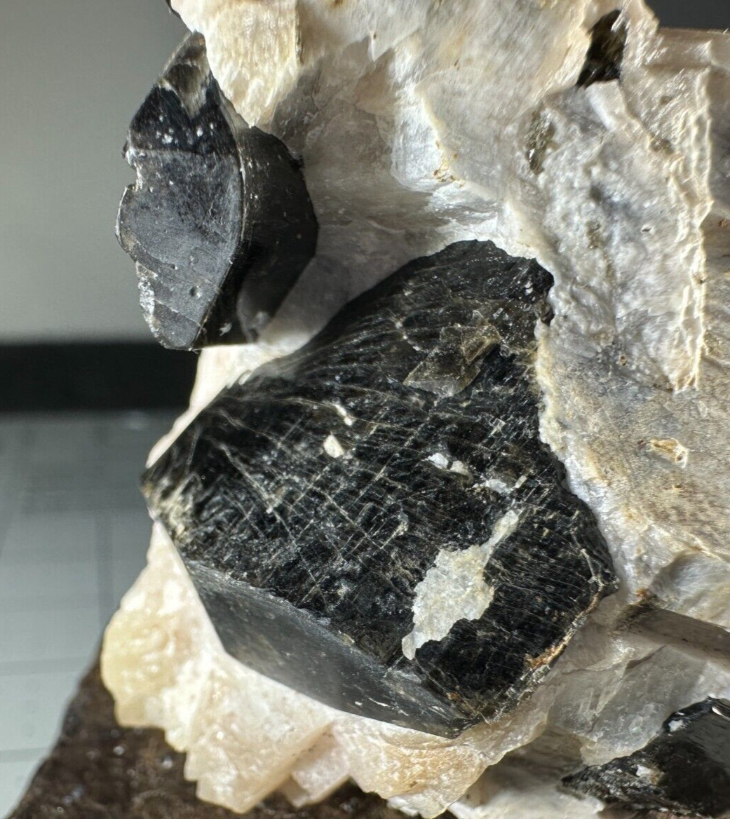 ➤2-3/4″ EDENITE CRYSTALS in CALCITE – Wilberforce Ontario Canada VIDEO➤598