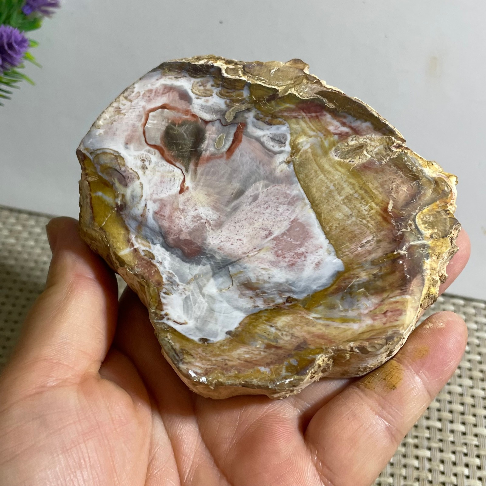 Natural Polished Petrified Wood Crystal Slice Madagascar 302g