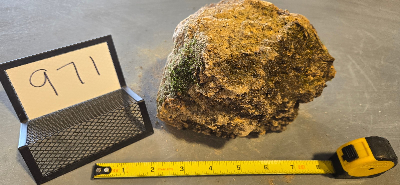 6″ Large Pumice Stone Floating Natural Rock Carnivorous Succulent Garden #971