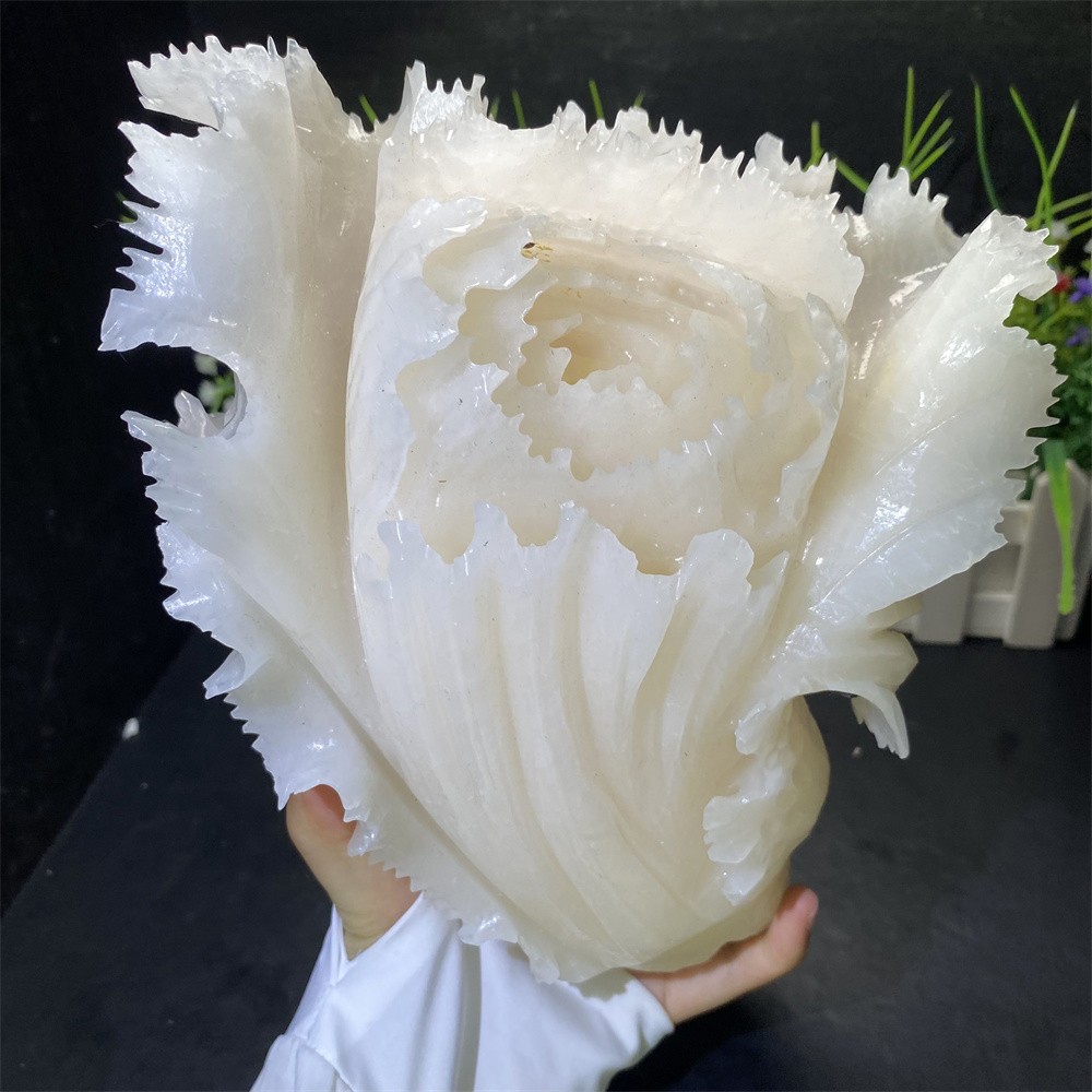 4.9LB 8.2″Natural A+White Jade Chinese Cabbage Statue Crystal Carved Reiki Decor