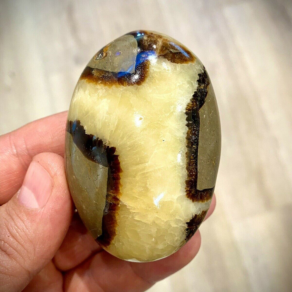 2X Septarian Crystal Dragon Stone Healing Crystal Yoga Meditation Minerals 3-4cm
