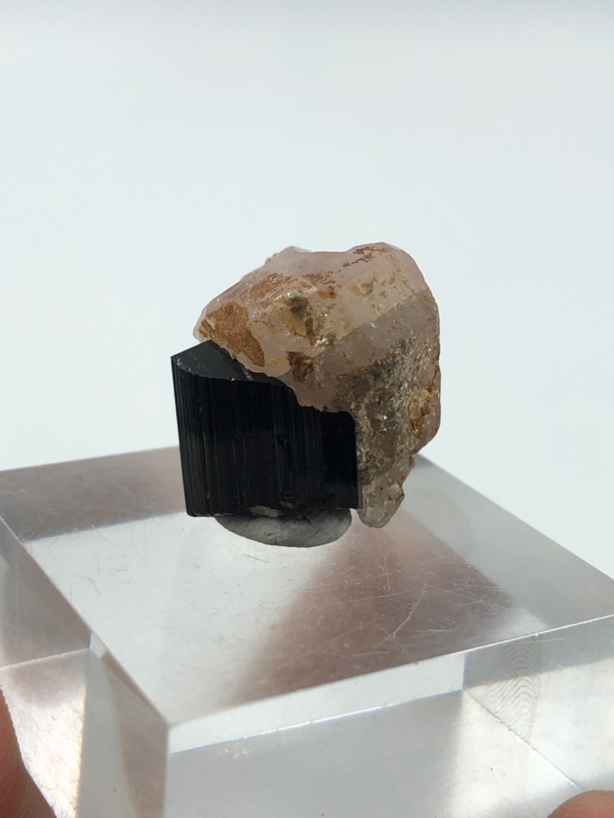 14 Grams Fluorescent Pink apatite Crystal with schorl from skardu pakistan