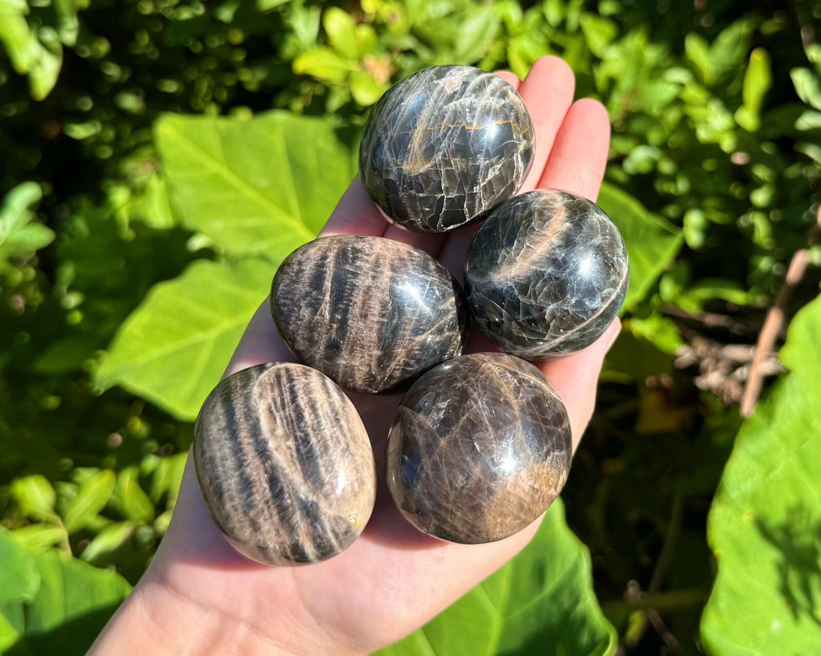 Black Moonstone Hand Polished Palm Stone, ‘A’ Grade Black Moonstone Pebble