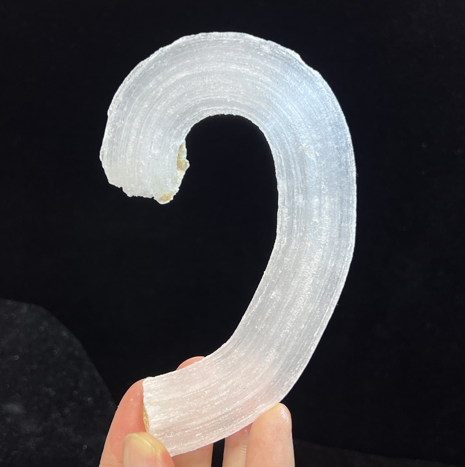 115mm LARGE sparkling ‘Ram’s Horn’ shape Selenite (Gypsum), Natural Mineral
