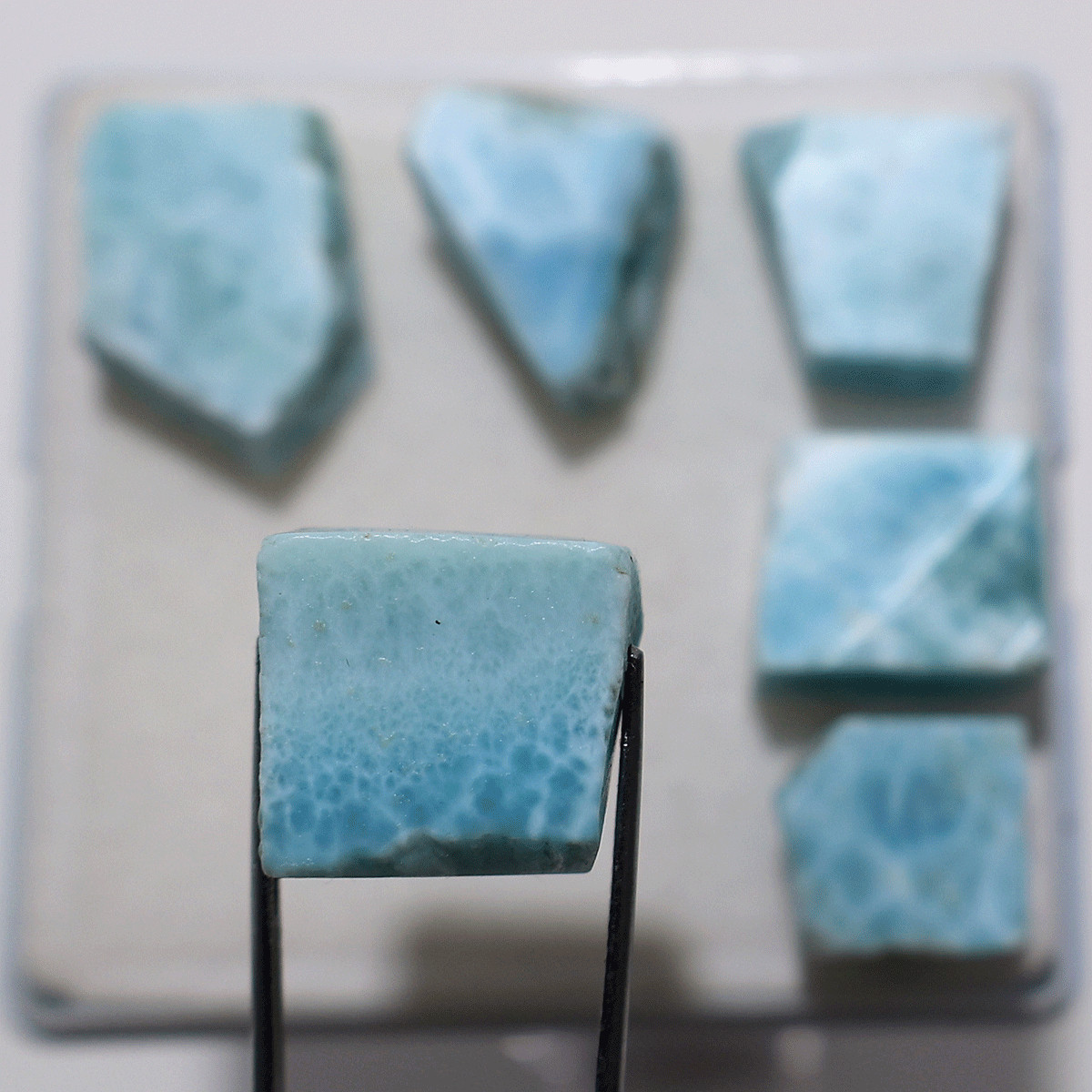 6 PC Caribbean Sky Larimar Raw Slabs— Natural Ocean Blue Rare Crystal Collection