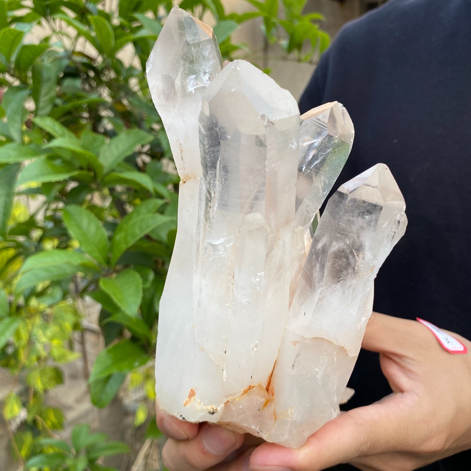 3.9lb Natural Clear White quart Crystal Cluster Raw Healing Specimen