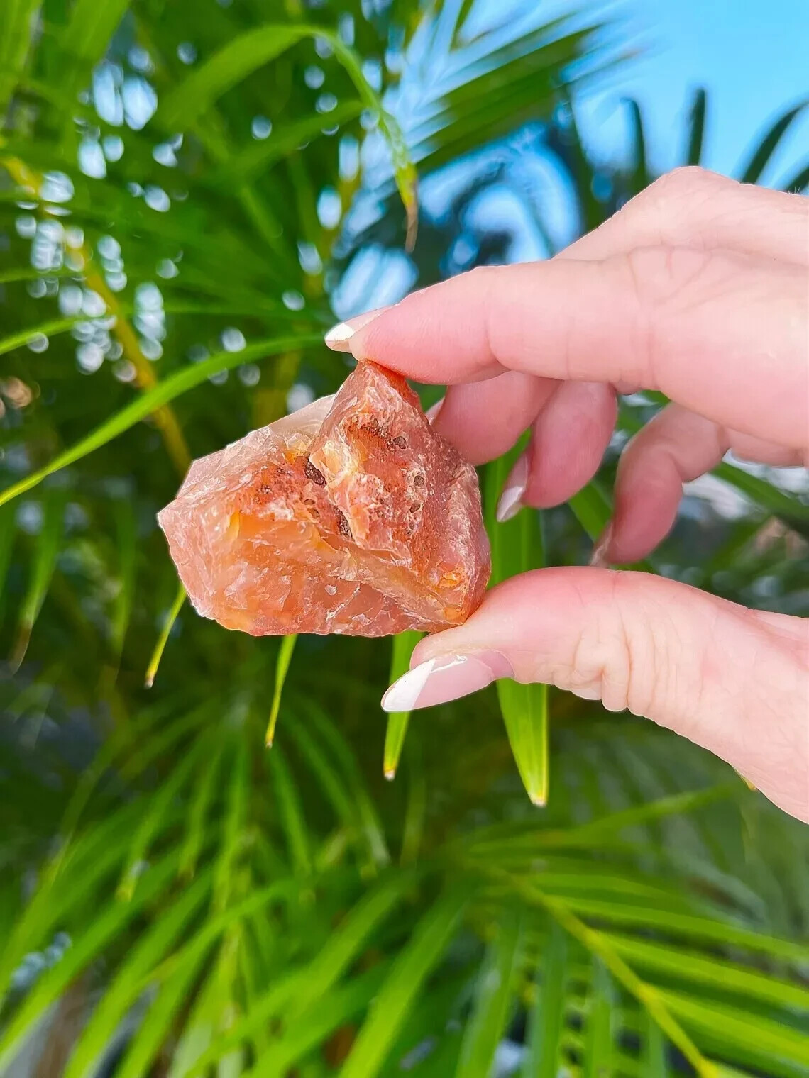 Raw Carnelian Natural Red Agate Healing Mineral Specimen Collectible Gift