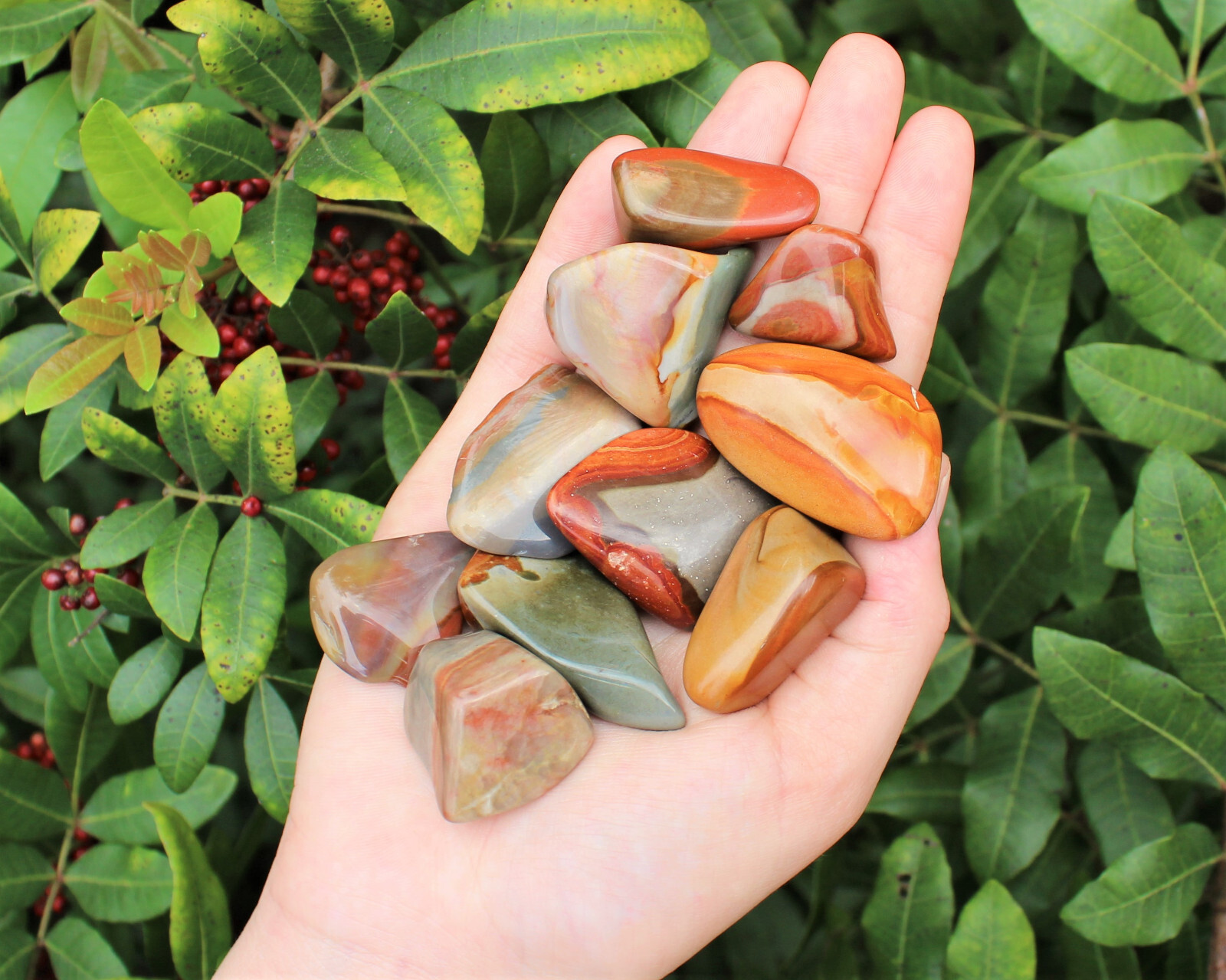 1/2 lb Bulk Lot Polychrome Jasper Tumbled Stones (Crystal Healing) 8 oz