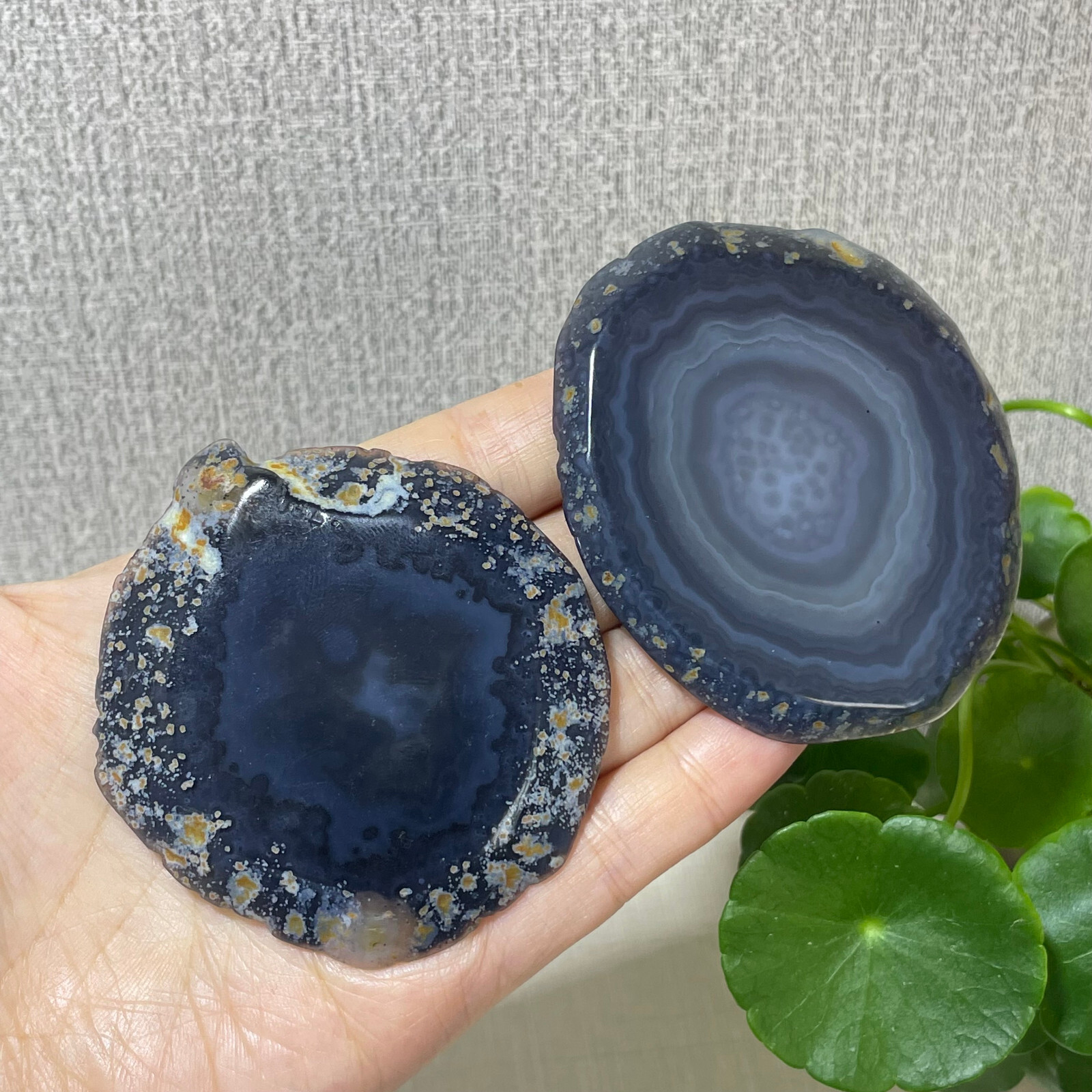 2pcs Brazilian Agate Geode Slab/Slice- Natural Druzy quartz crystals 87g a7712