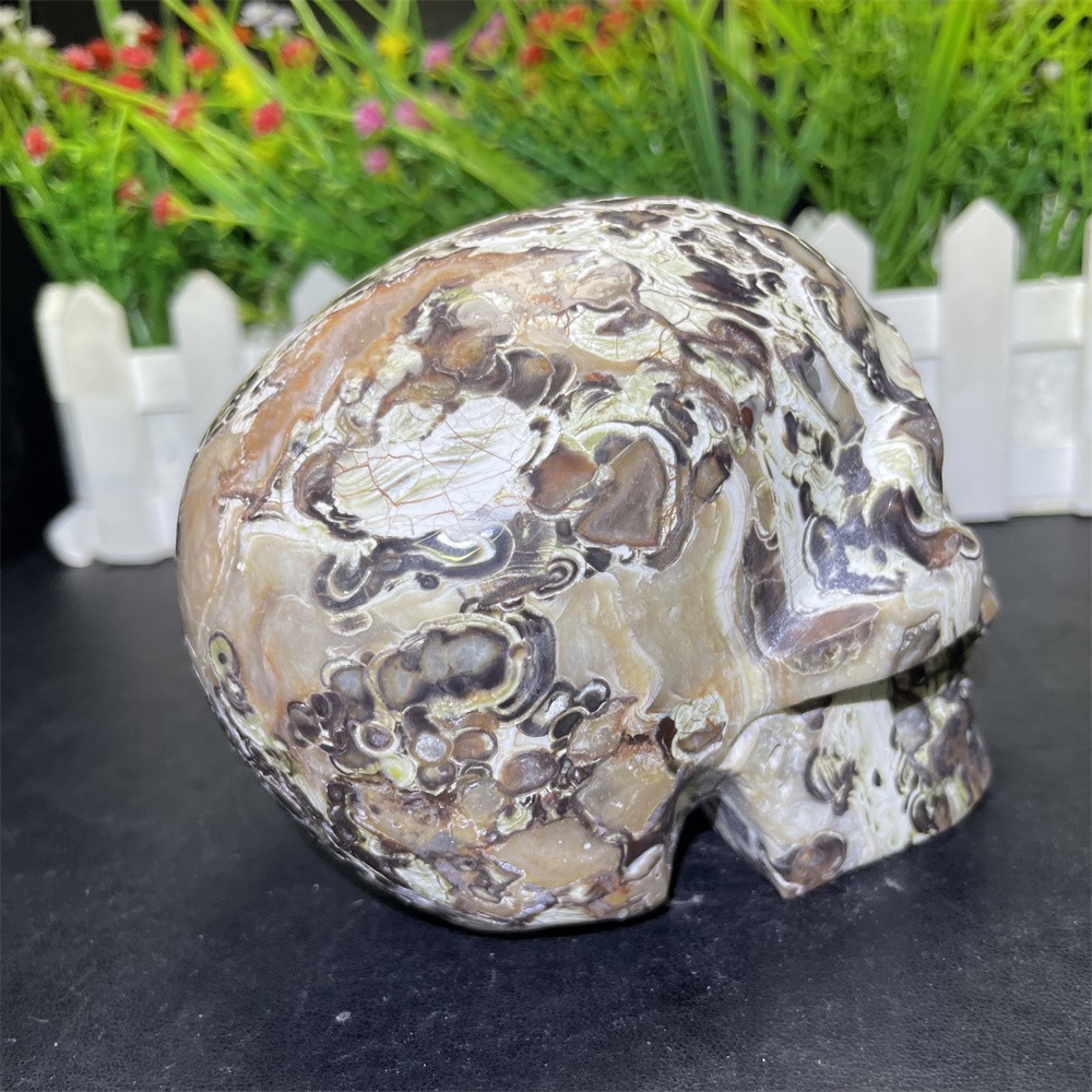 2.1LB 3.9″ Natural Money Agate Skull Crystal Quartz Carving Reiki Decoration