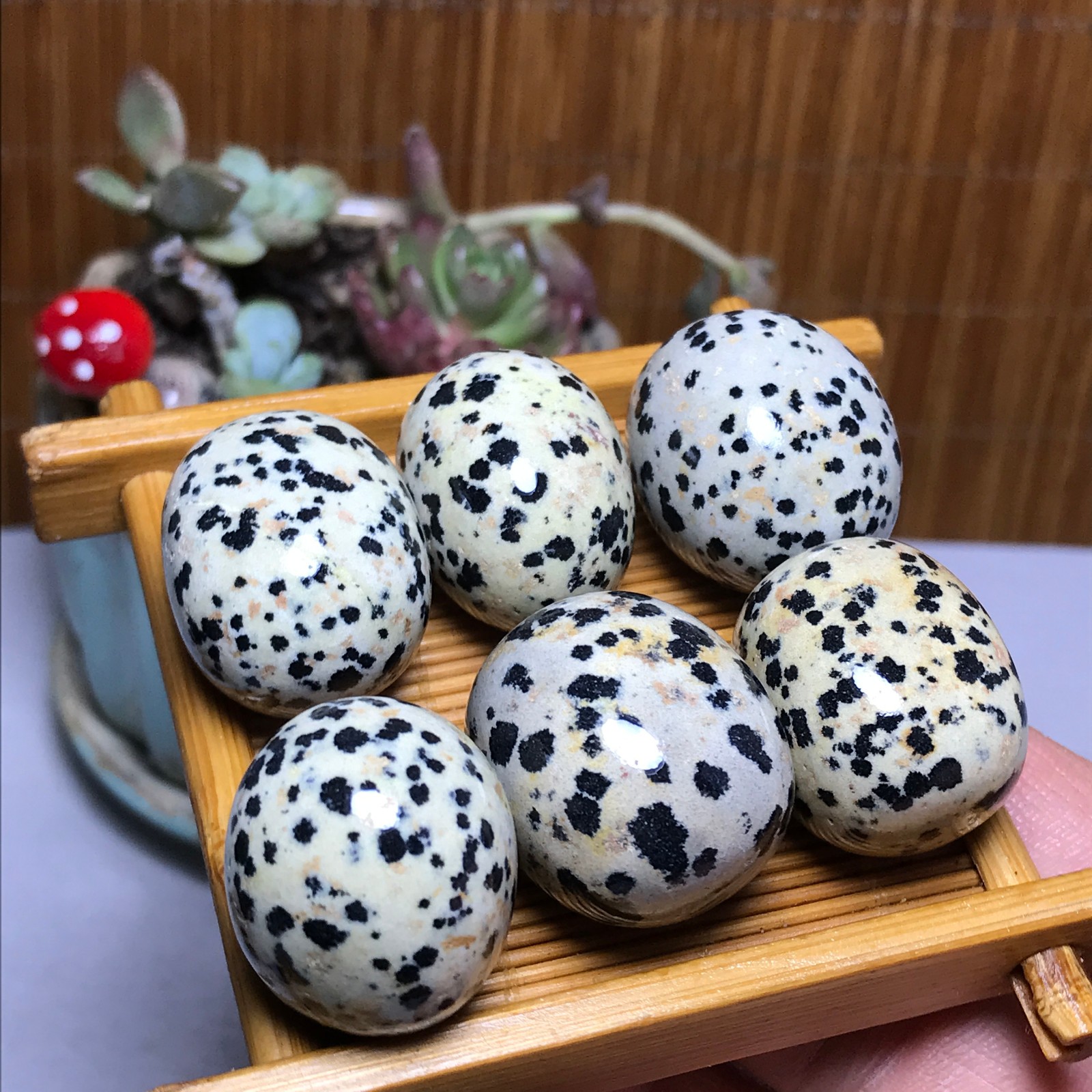 28-22-21mm 6Pcs Natural spotted stone Crystal gemstone Mineral Specimen A4402