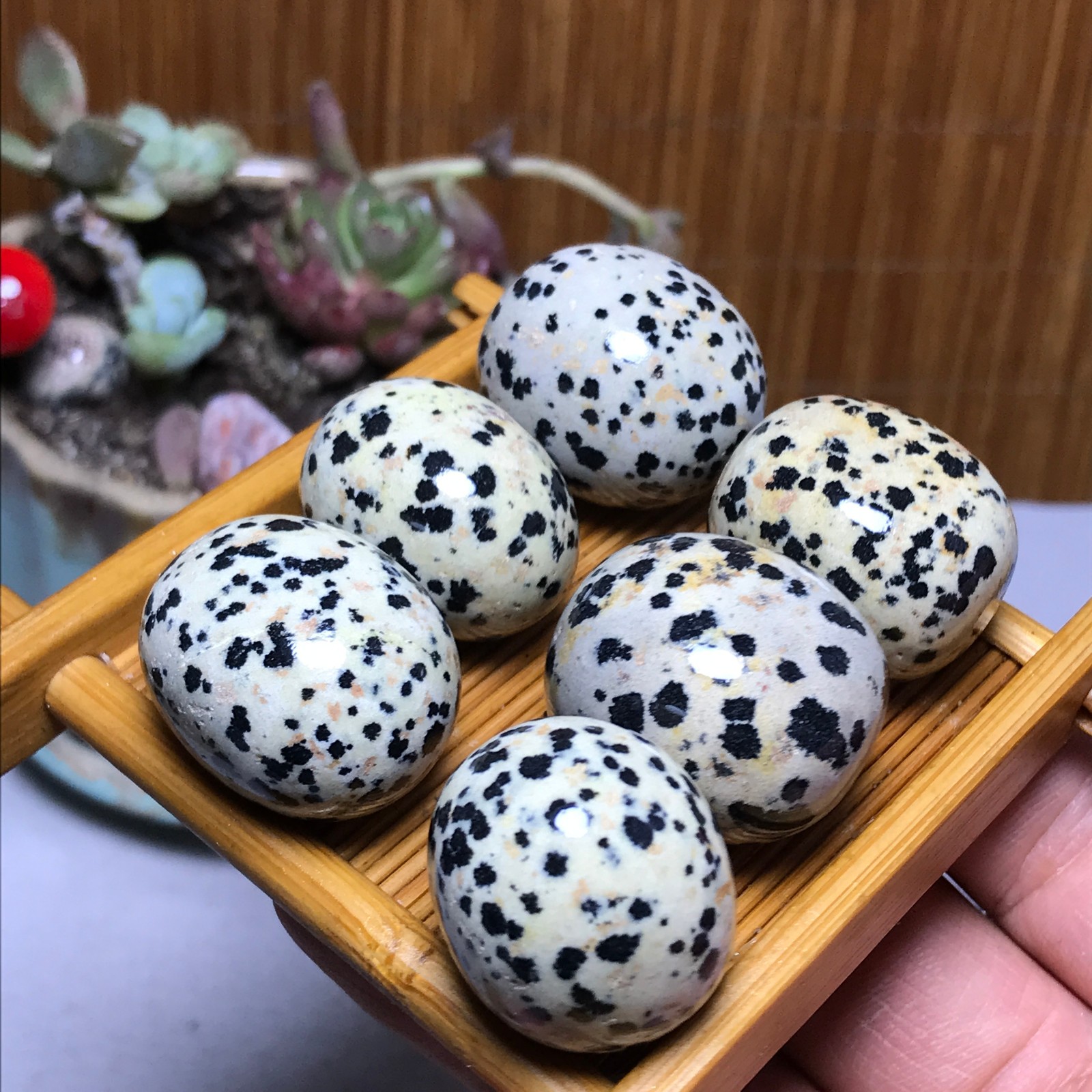 28-22-21mm 6Pcs Natural spotted stone Crystal gemstone Mineral Specimen A4402