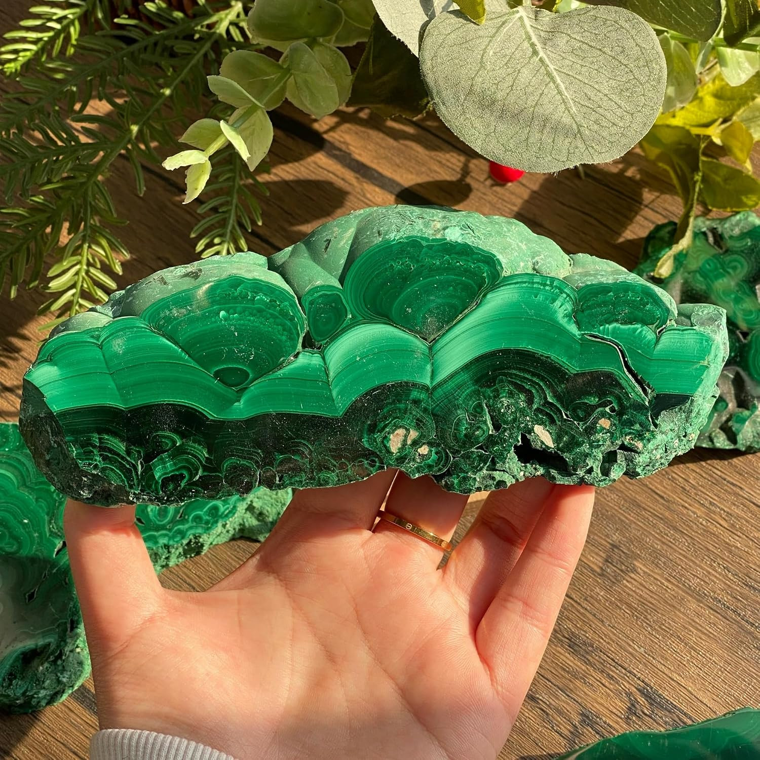 Natural Malachite Slice 50-100g (0.11-0.22lb), Polished Malachite Slab Healing C