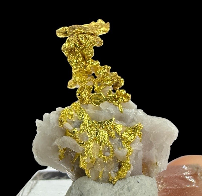 Gold On Quartz Crystals : Eagle’s Nest Mine . Placer County , California 🇺🇸