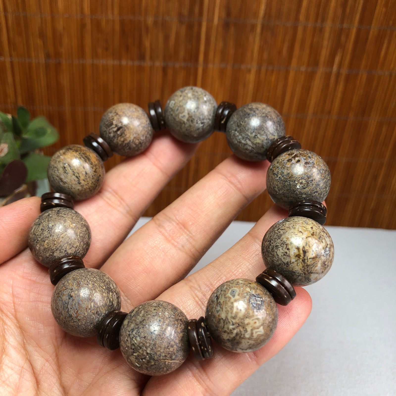 17+mm Natural dinosaur bone gemstone Crystal chain bracelet Specimen 87g A1077
