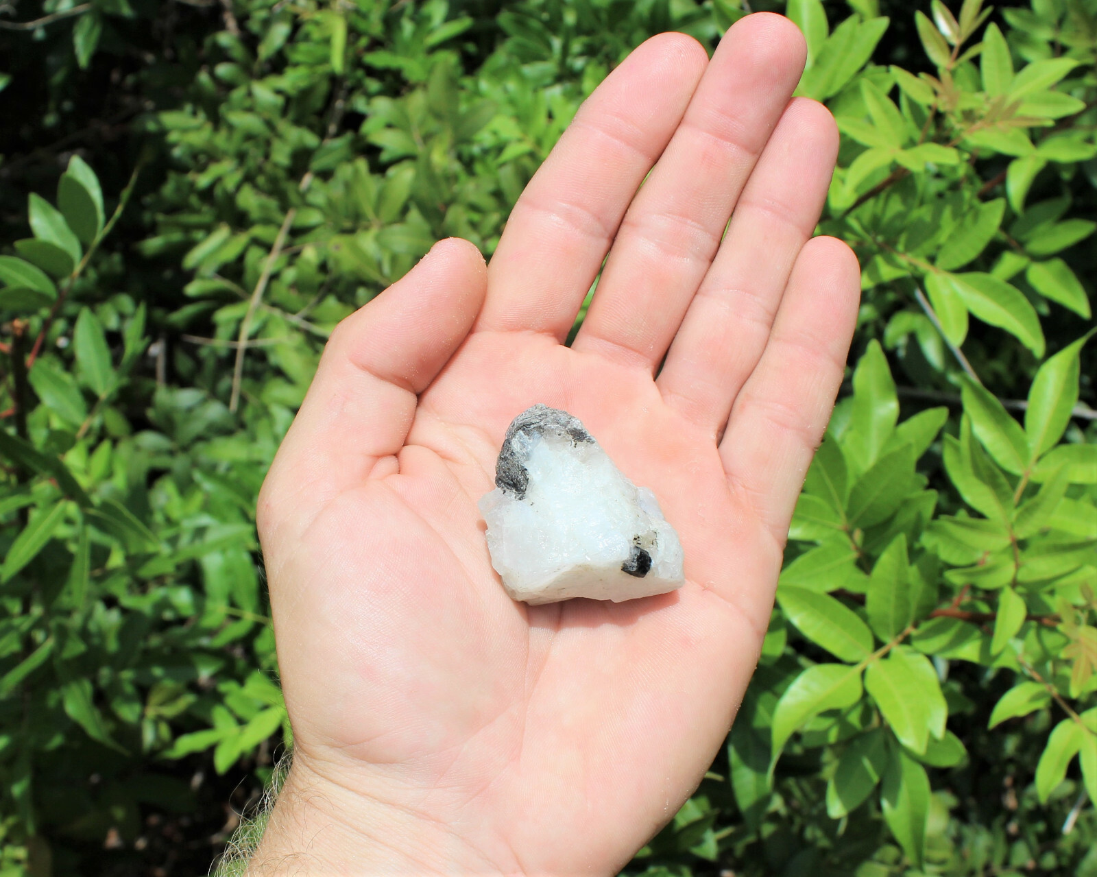 500 Carat Lot Natural Rough Rainbow Moonstone Crystals (Raw Stone, 100 Grams)