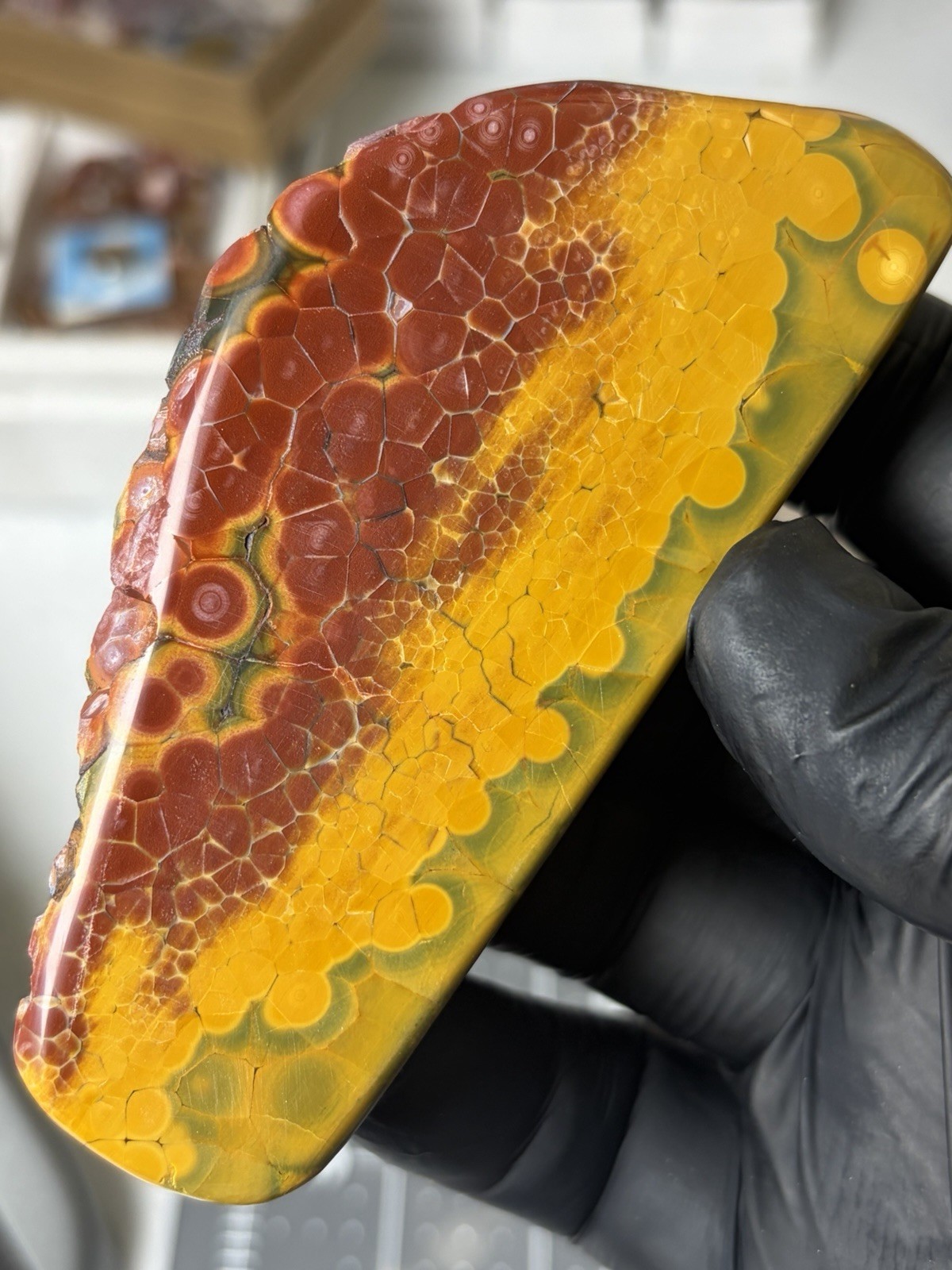Colorful Ocean Jasper Free Form Orbs