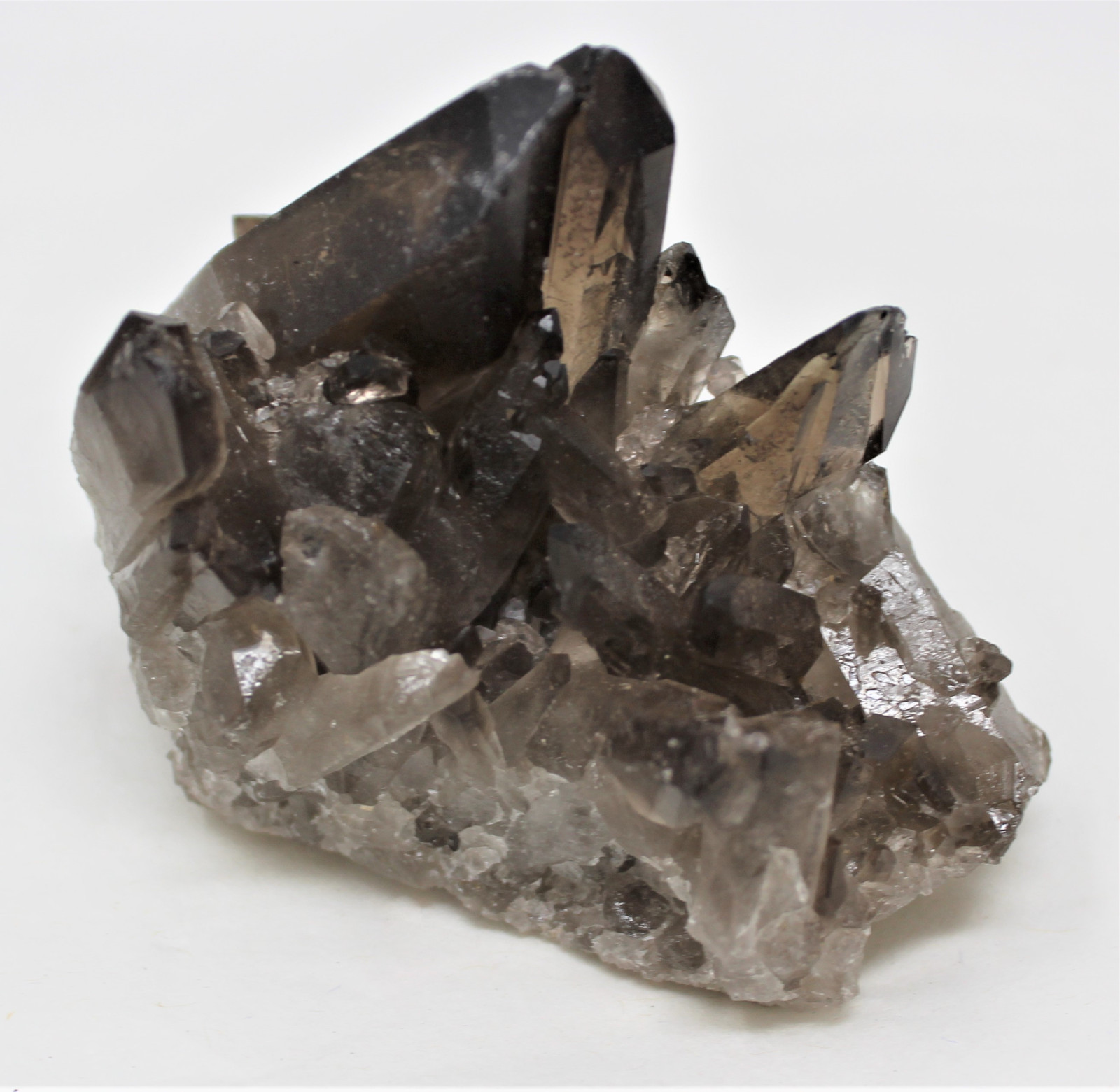 Smoky Quartz Crystal Cluster (3 – 4 oz) Natural Quartz Druze Geode Specimen
