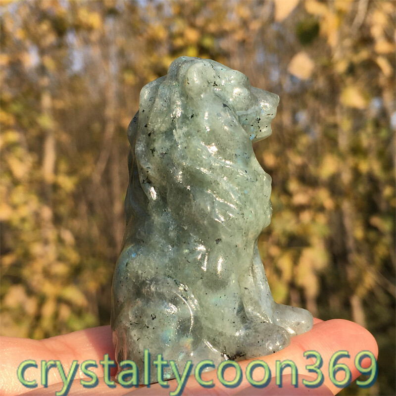 2″+ Natural Labradorite Quartz Carved Lion Crystal Gift Skull Reiki Healing 1pc
