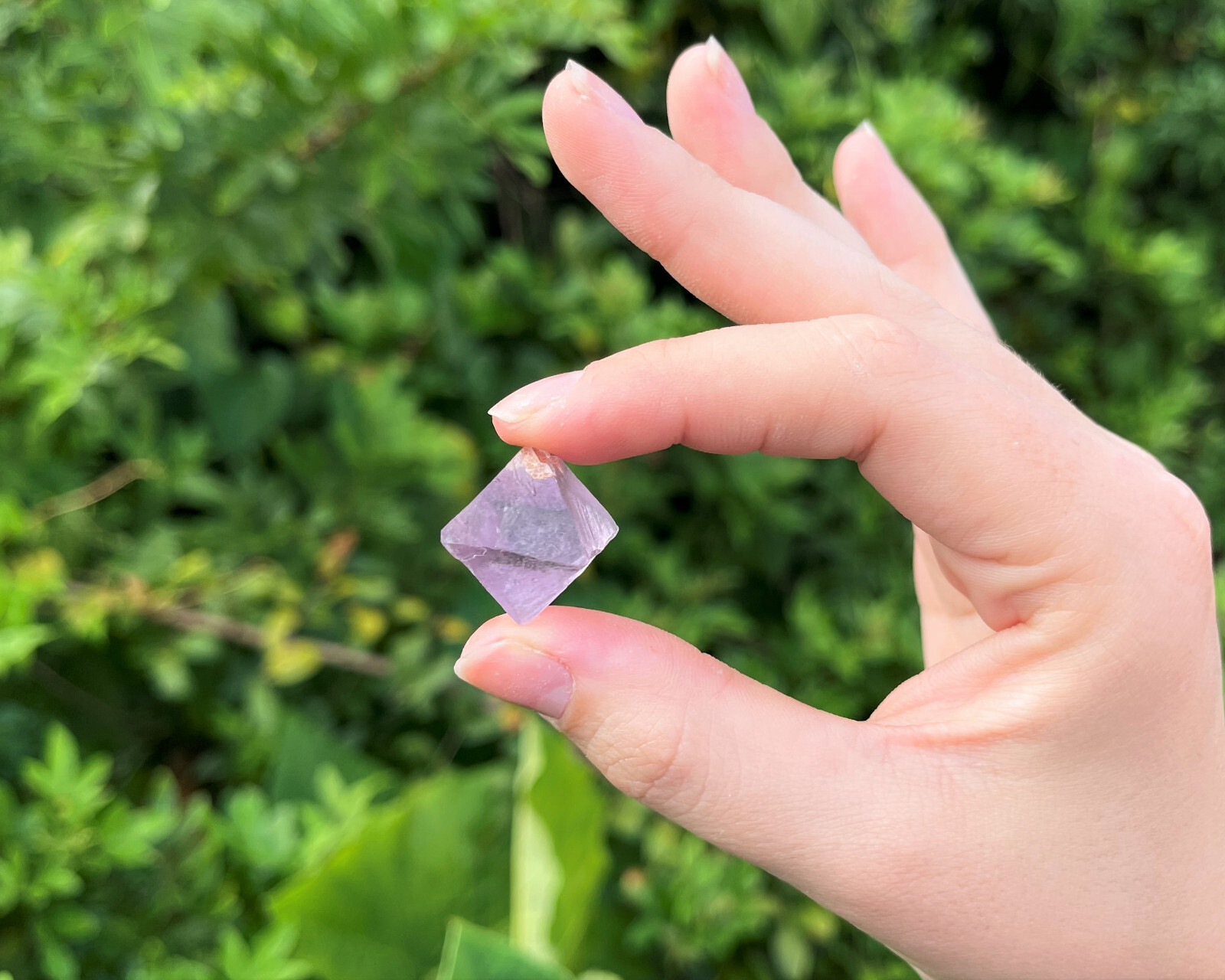 Fluorite Octahedron Crystals: Choose How Many Pieces (Premium Quality ‘A’ Grade)