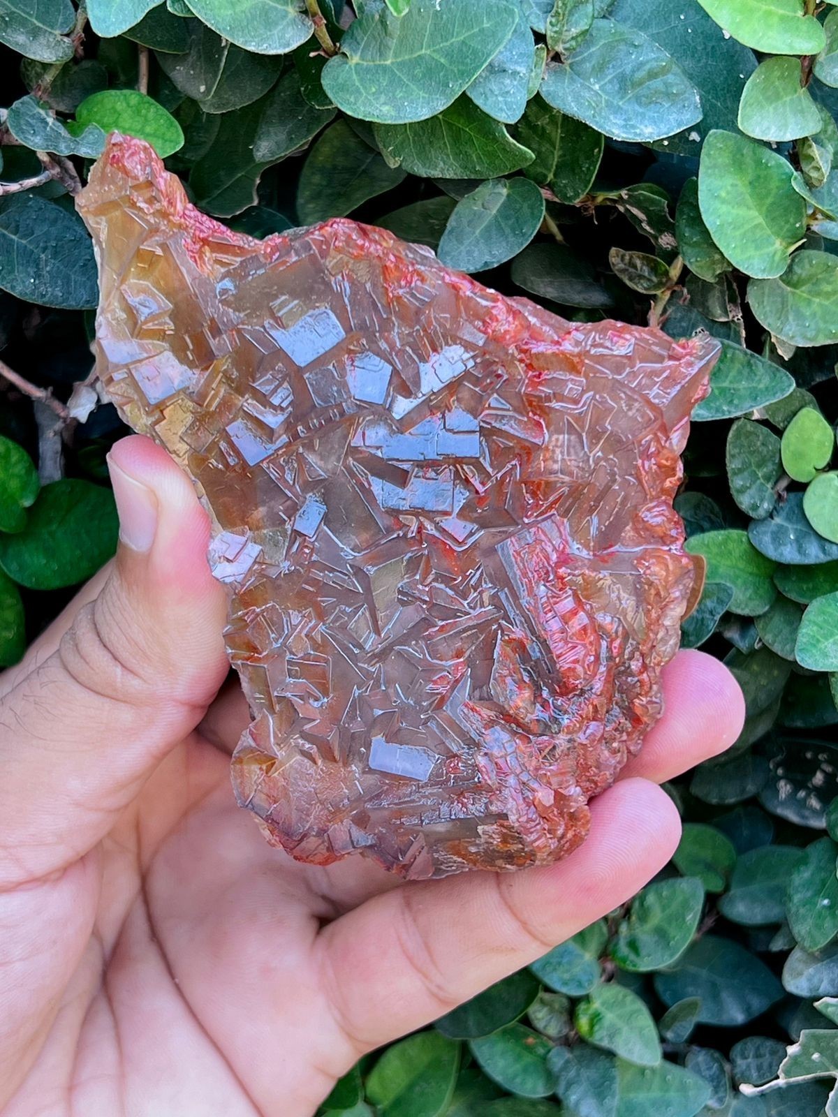 Natural Fluorite Crystal Specimen 450g Unique Red & Brown Cubic Formation