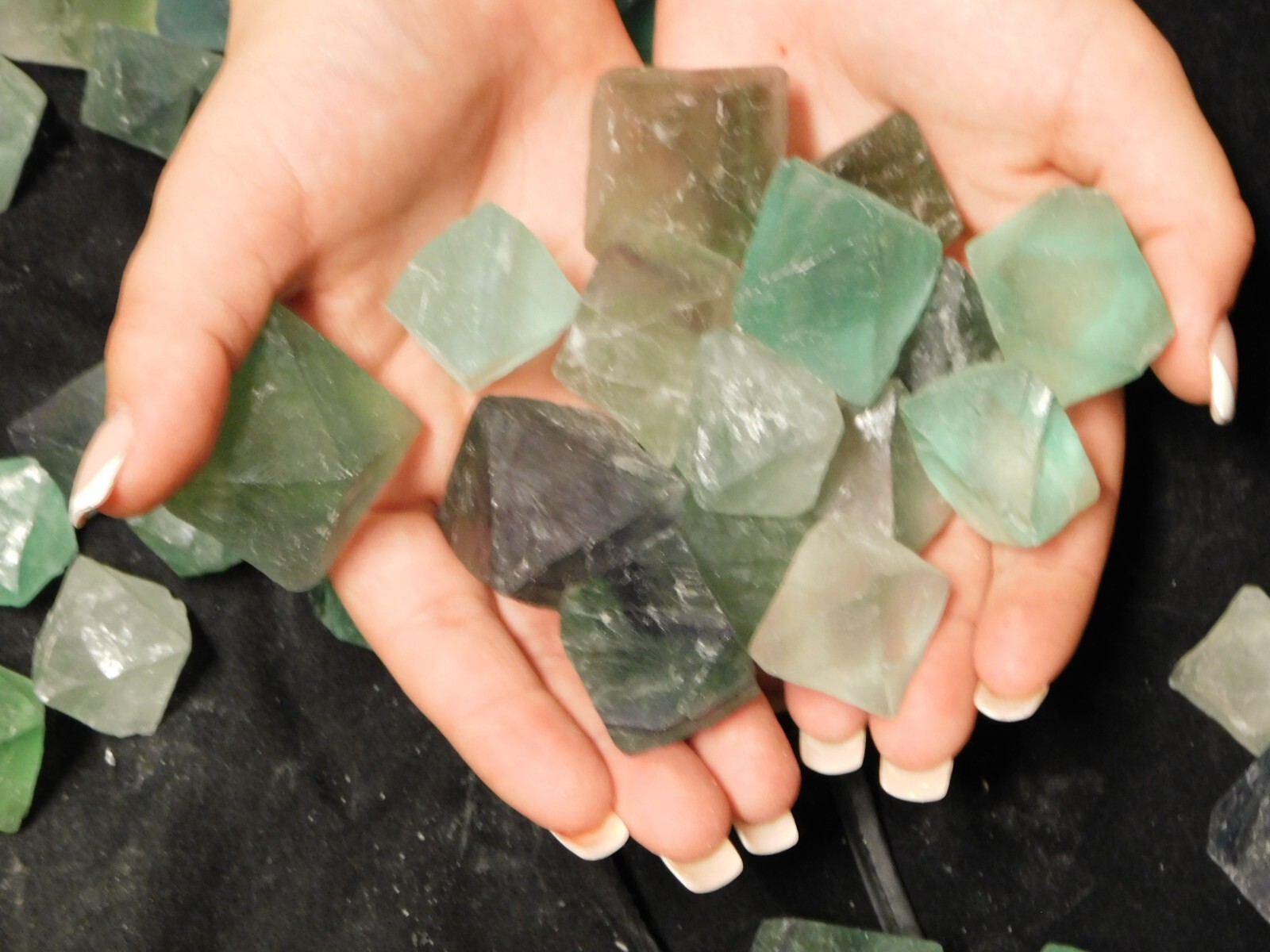 Over One Pound! or 500 Grams! Fluorescent FLUORITE Octahedron Crystals