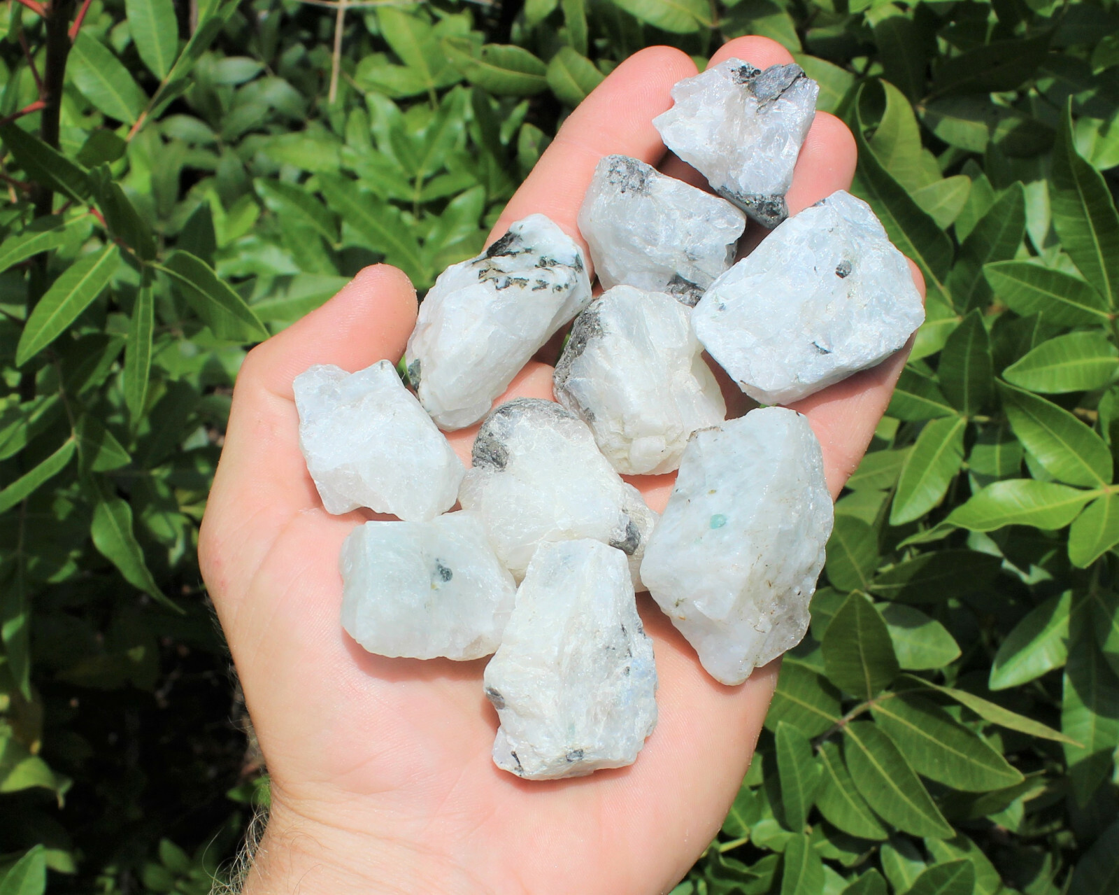 5 lb HUGE Bulk Lot Natural Rough Rainbow Moonstone Crystals (Raw Reiki Rocks oz)