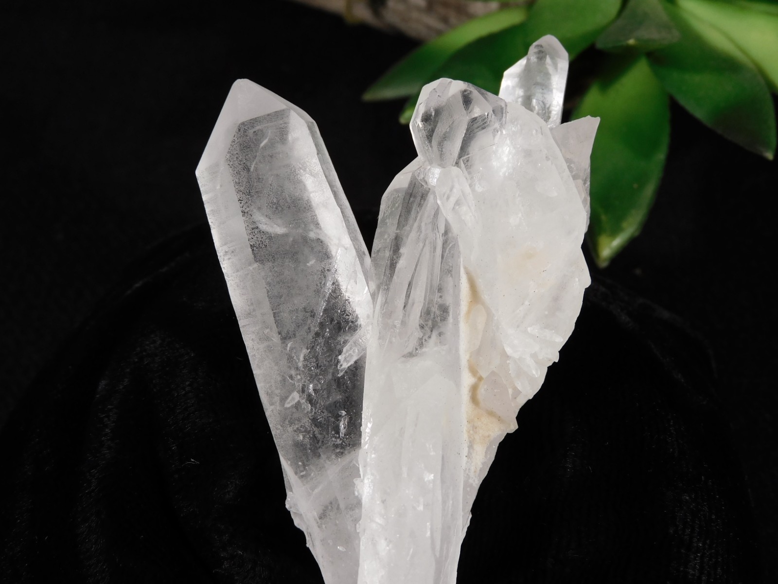 Four Points! Translucent! QUARTZ Crystal Cluster 100% Natural Brazil 70.1gr