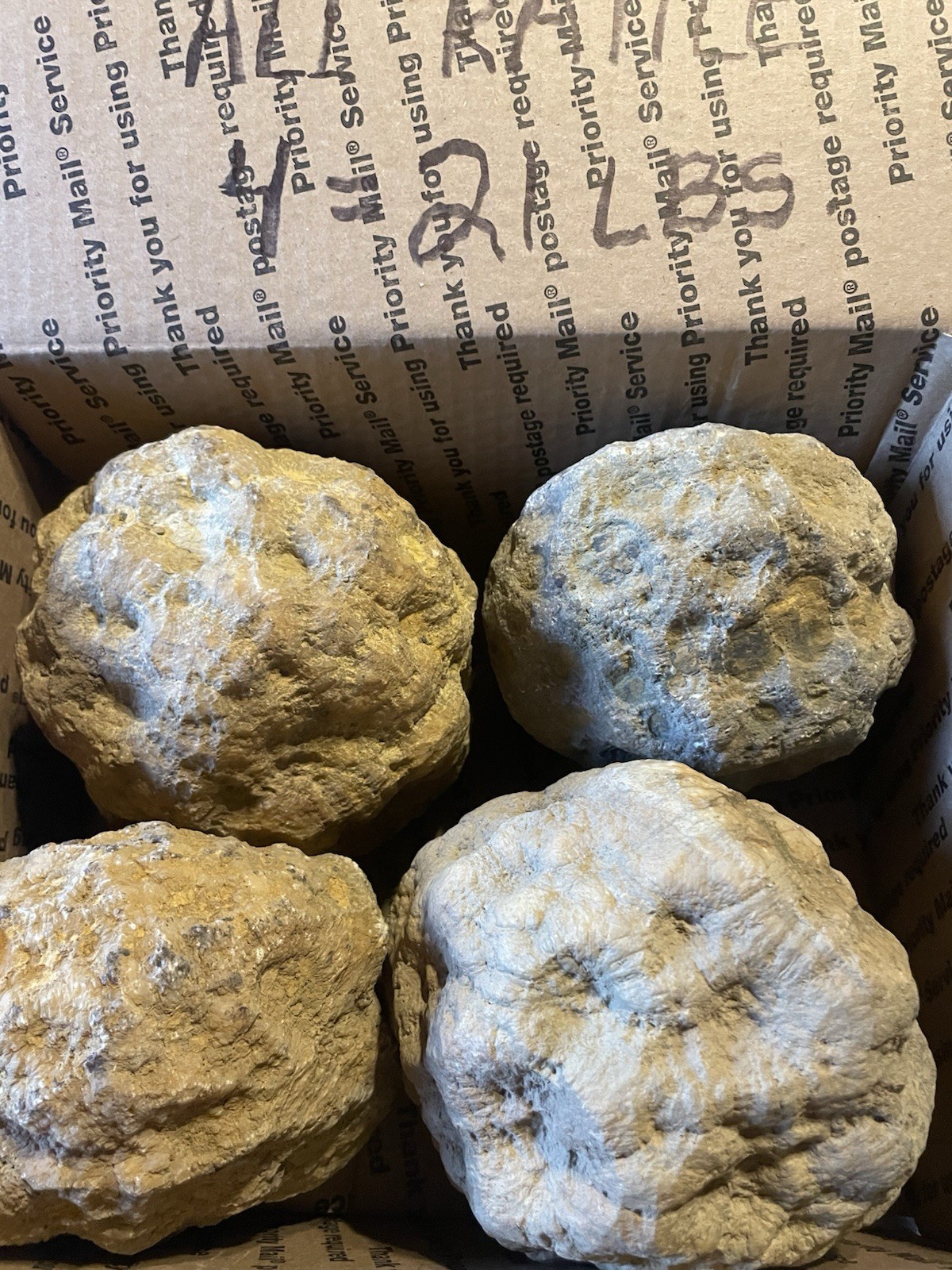 BOX OF KENTUCKY GEODES:4 BIG GEODES ALL RATTLE *4=21 LBS* ALL RATTLE