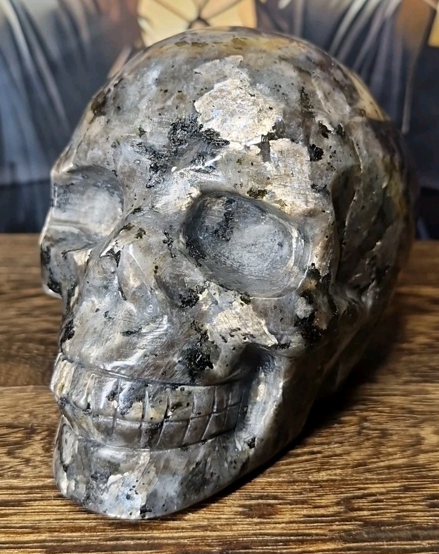 Lush Larvikite Aka Black Lab Crystal Human Skull 95x72mm 618g