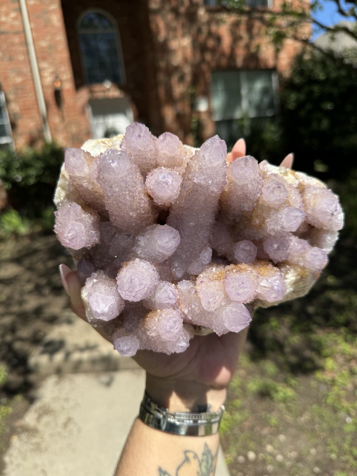 High Grade XXL (5.7lbs) Long Finger Deep Lavender Spirit Cactus Quartz cluster