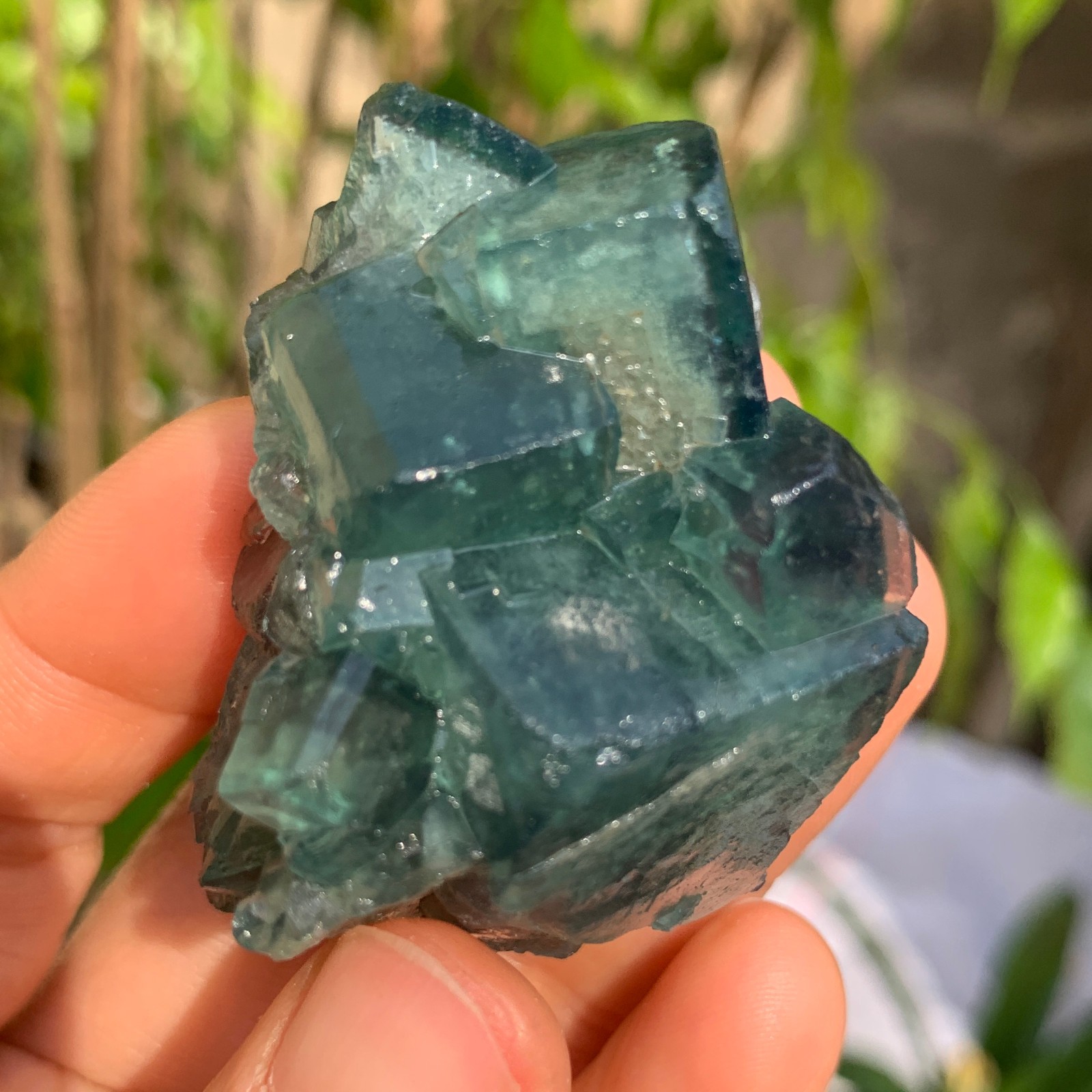 88g Natural Green FLUORITE Quartz Crystal Cluster Mineral Specimen