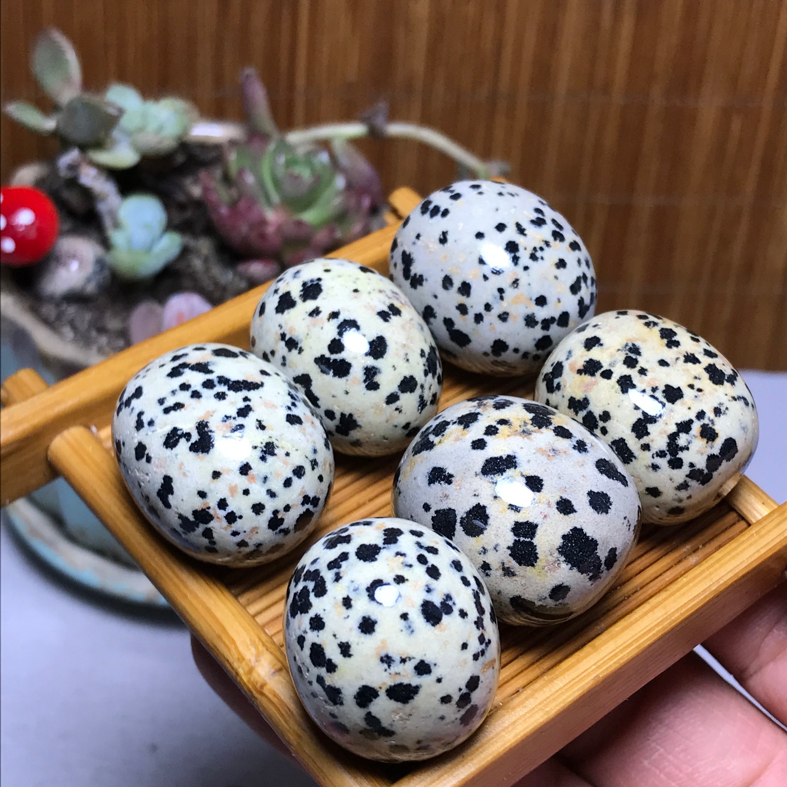 28-22-21mm 6Pcs Natural spotted stone Crystal gemstone Mineral Specimen A4402