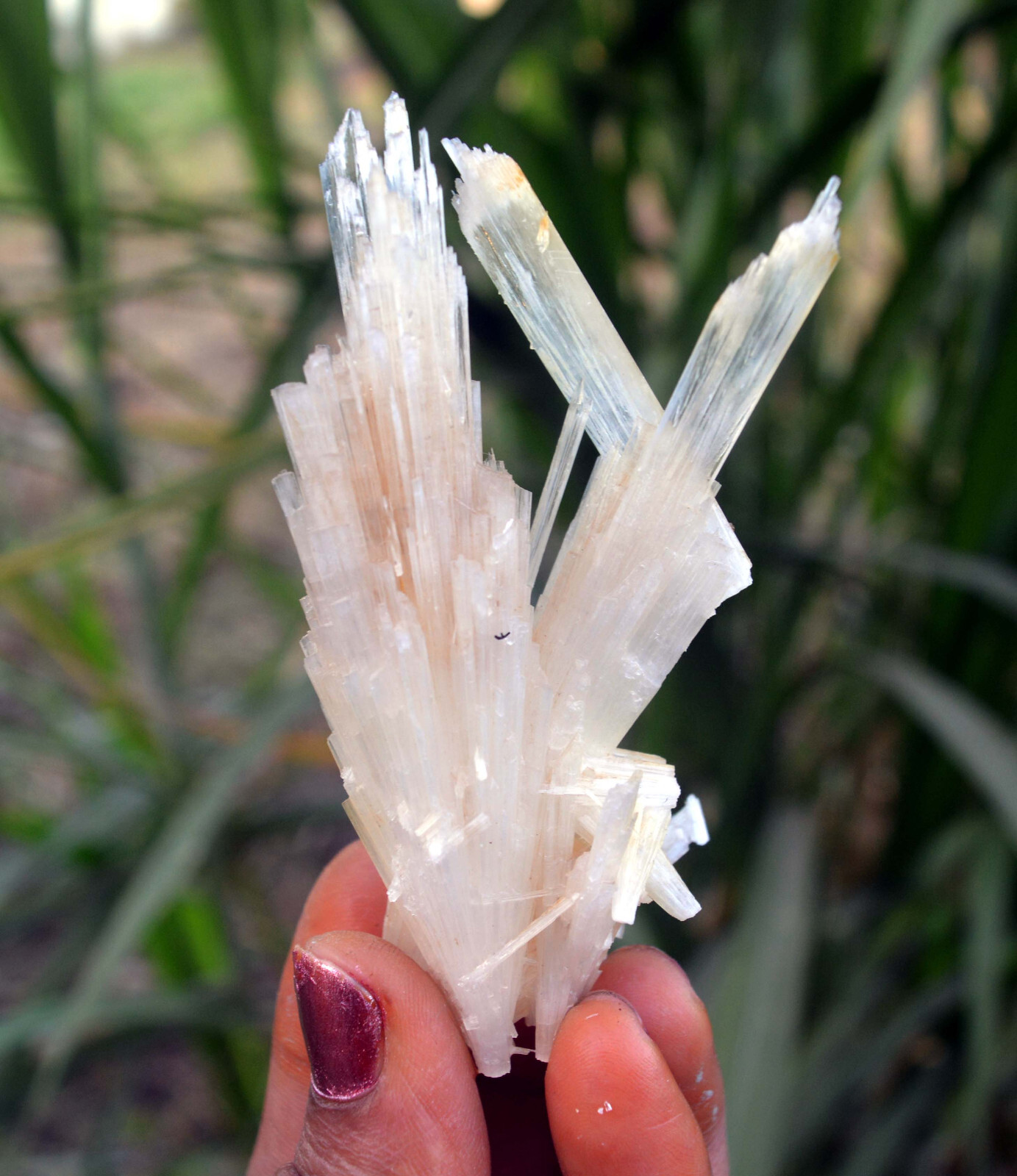 scolecite spray minerals specimen f-2