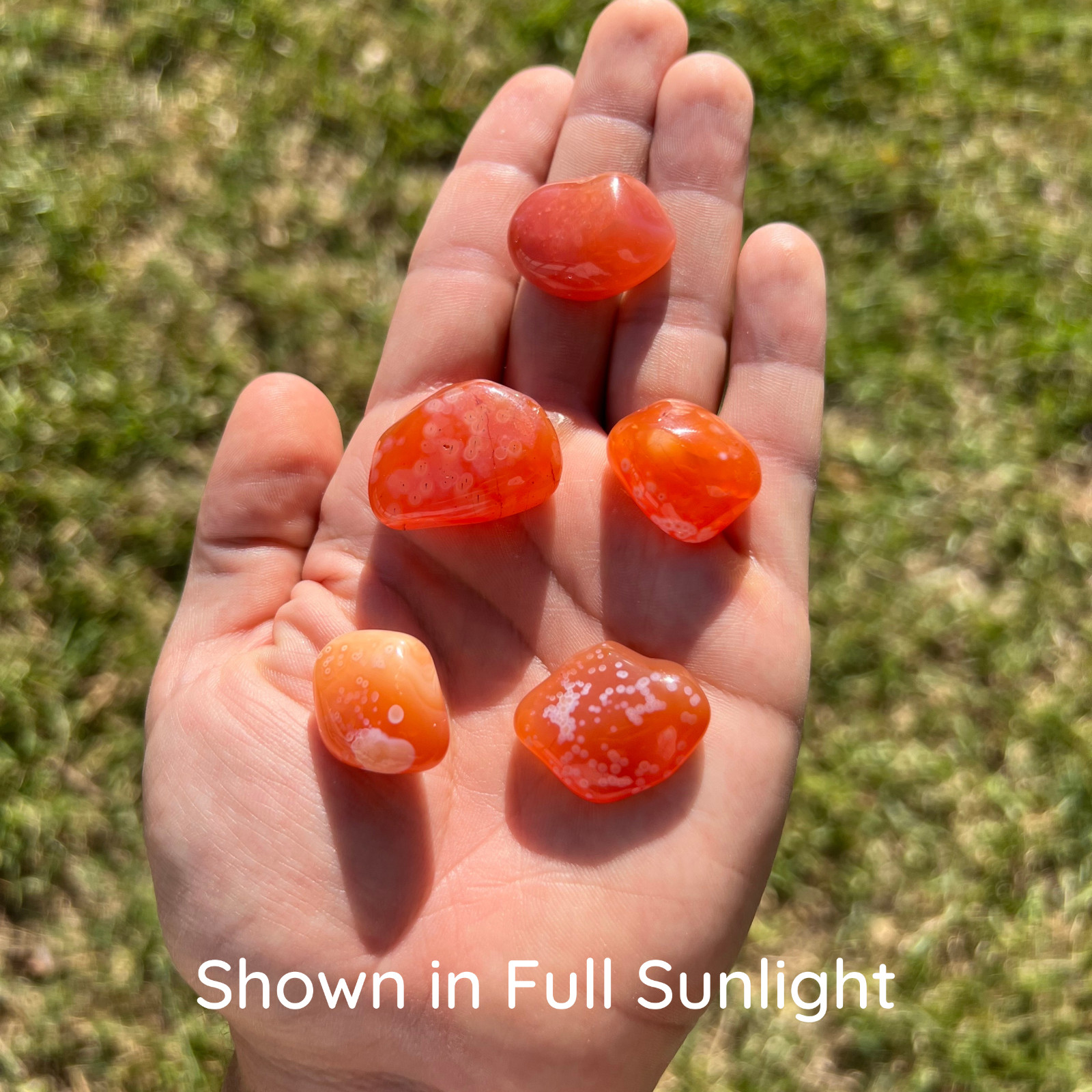 Carnelian “Eye” Agate Tumbled Gemstones – Bulk Wholesale Options – 1 LB