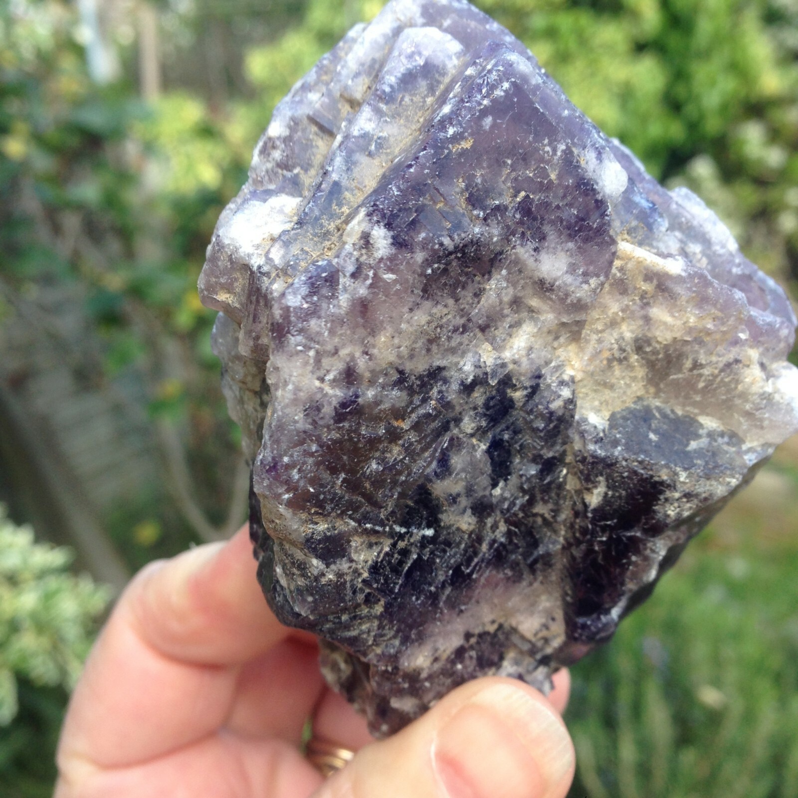 Fluorite Crystal Rough Specimen Purple Yellow North UK ex J Shaw 356g 9x7x6cm