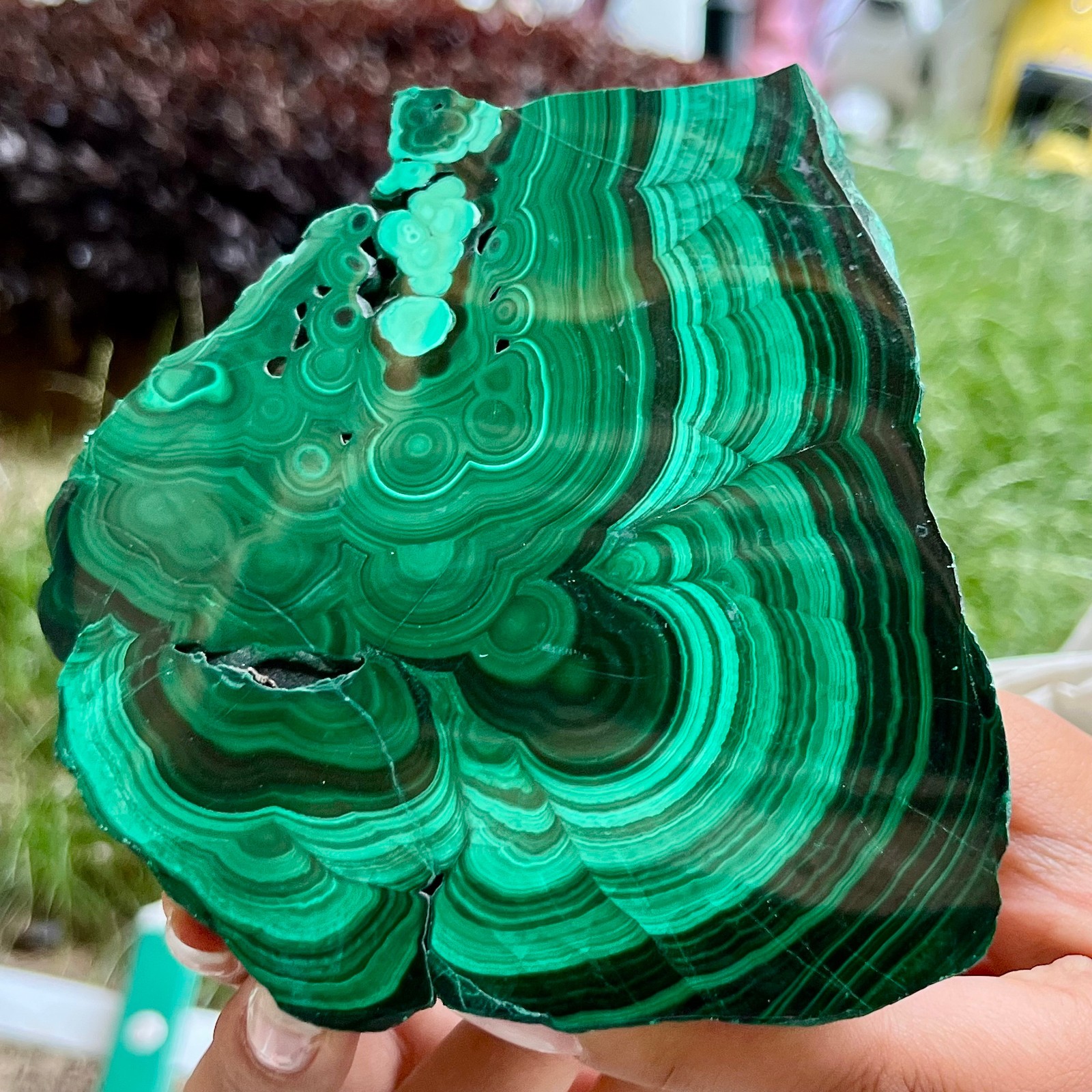 525 g Malachite Polished Slab Green Banded Agate Look Mineral Specimen Reiki