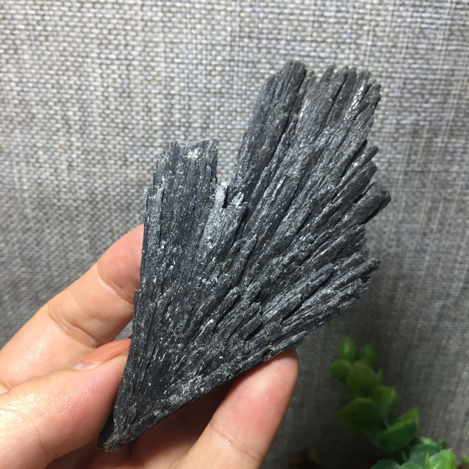 62g 105mm Black Kyanite Blades Fans Premium Quality Mineral Specimen rough 160