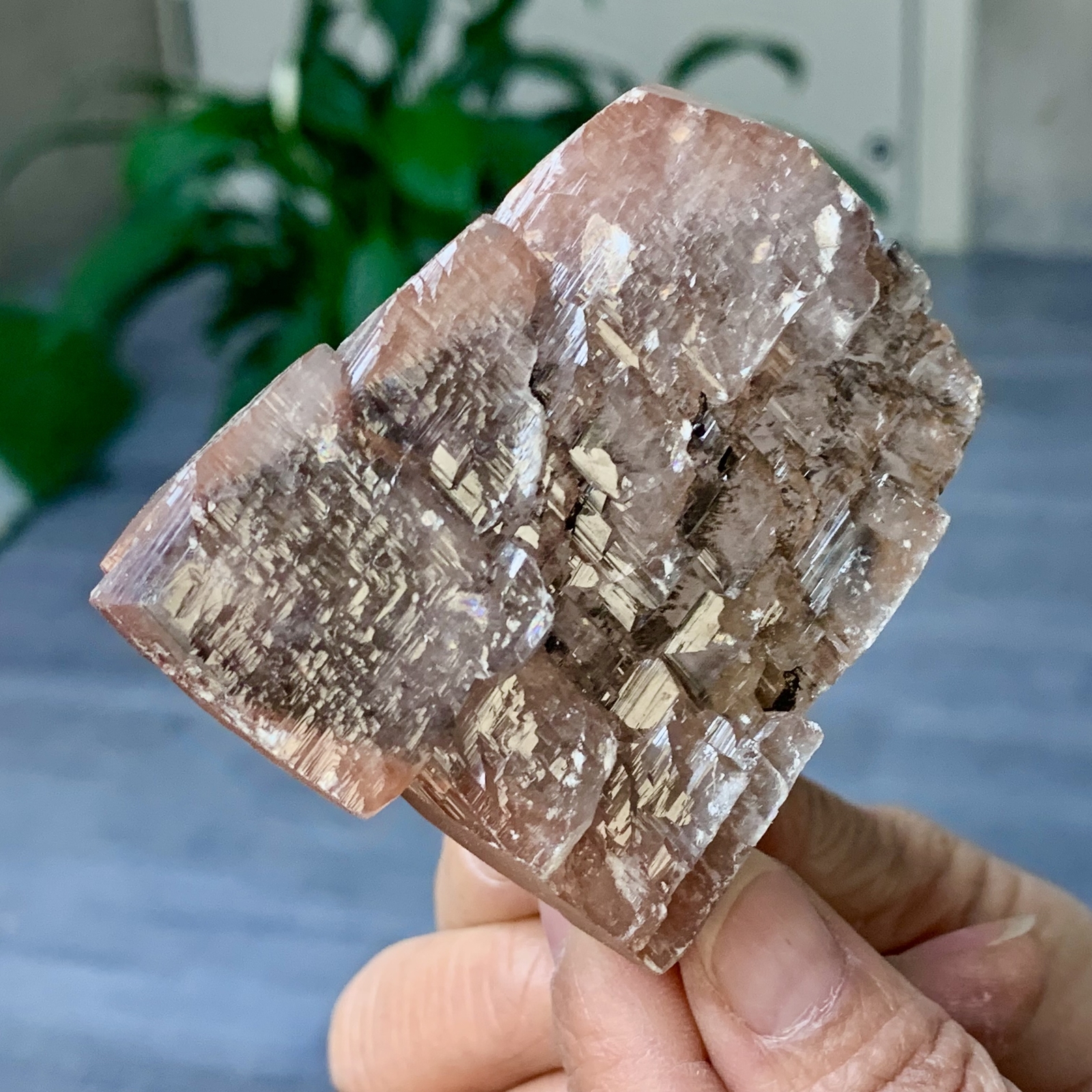 286G AAA+++ Rare NATURAL Red calcite Quartz Crystal Reiki Specimen Healing