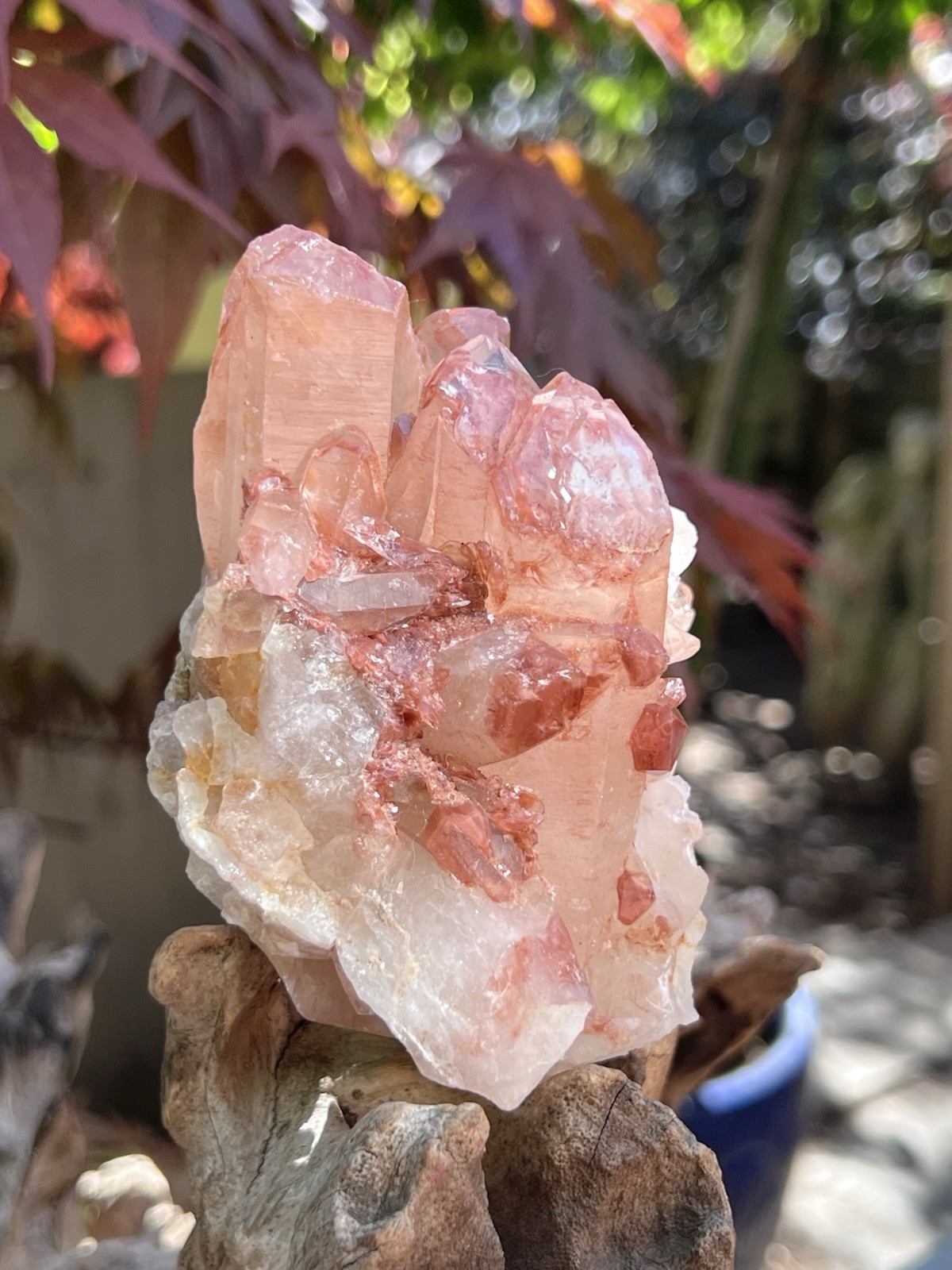 Lithium Quartz Large Cluster AAA+ : Master Healer Clarity 449g 7
