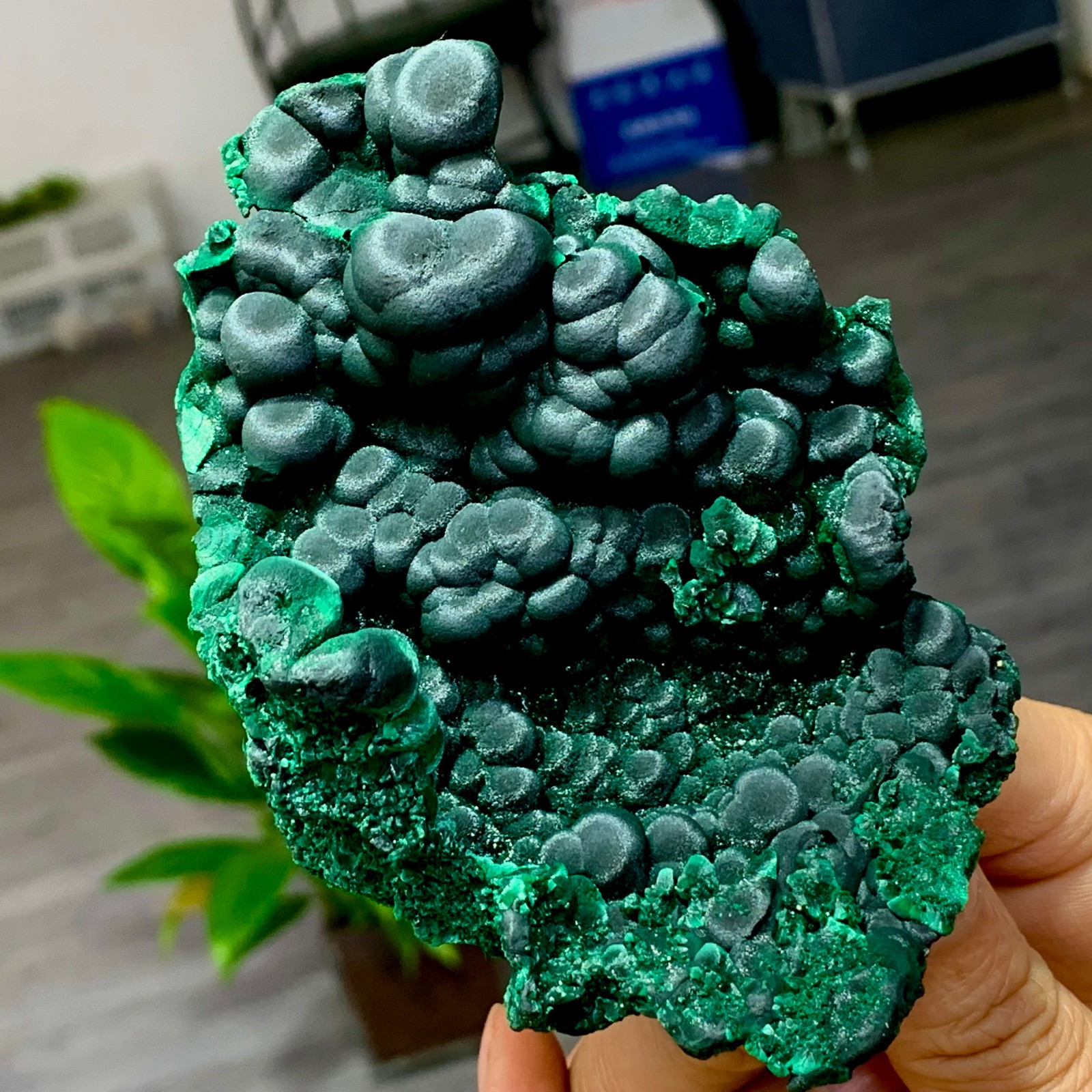 205g Natural glossy malachite cat eye transparent cluster rough mineral Sample