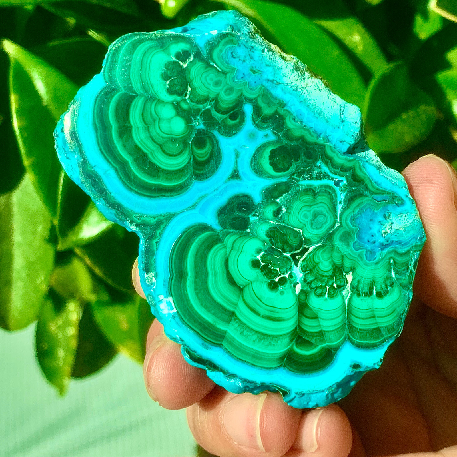 98G Natural tortoise Malachite transparent cluster rough mineral sample