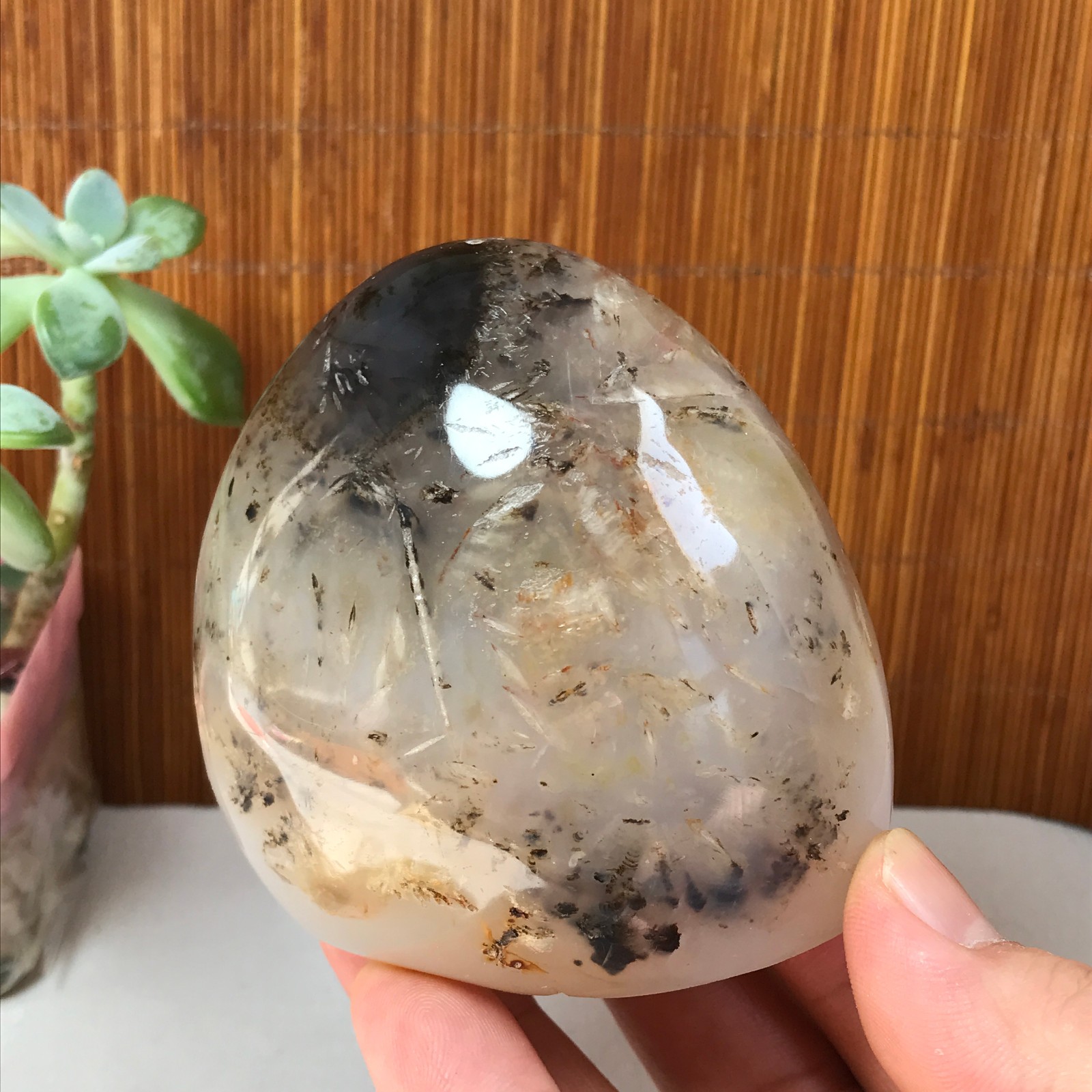 77-74-50mm Natural aquatic plants agate pretty Crystal specimens 433g A1877