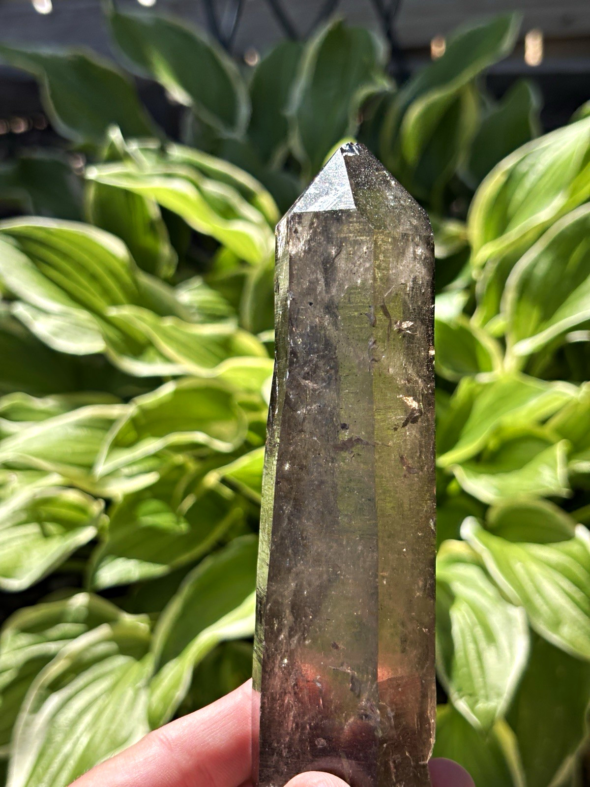 Switzerland Smoky Quartz Natural Point .