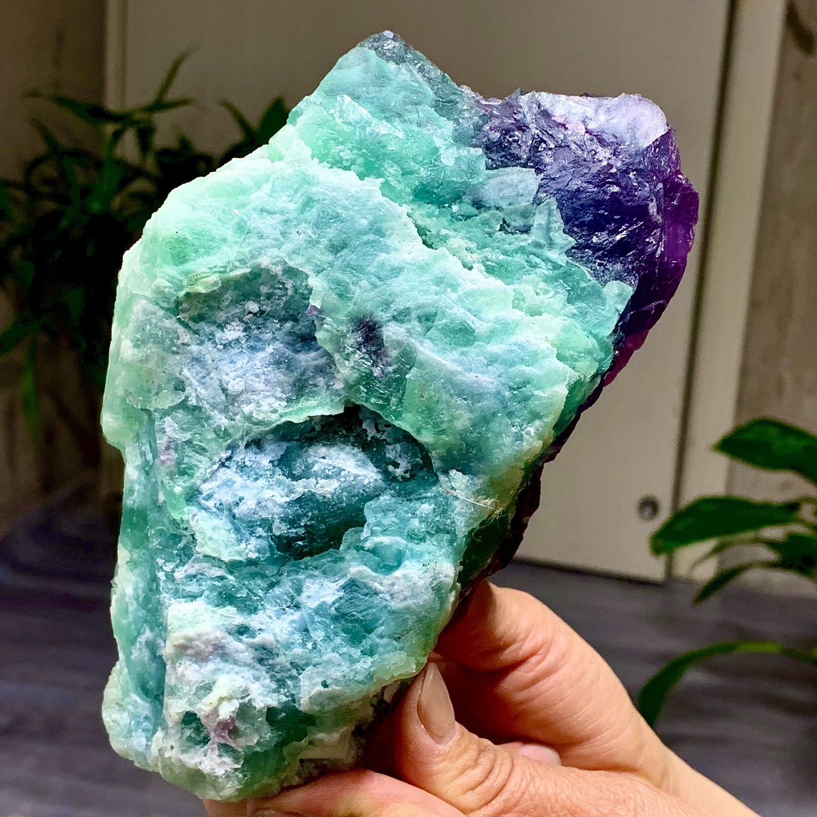3.49LB Rare transparent purple-green cubic fluorite mineral crystal sample/China