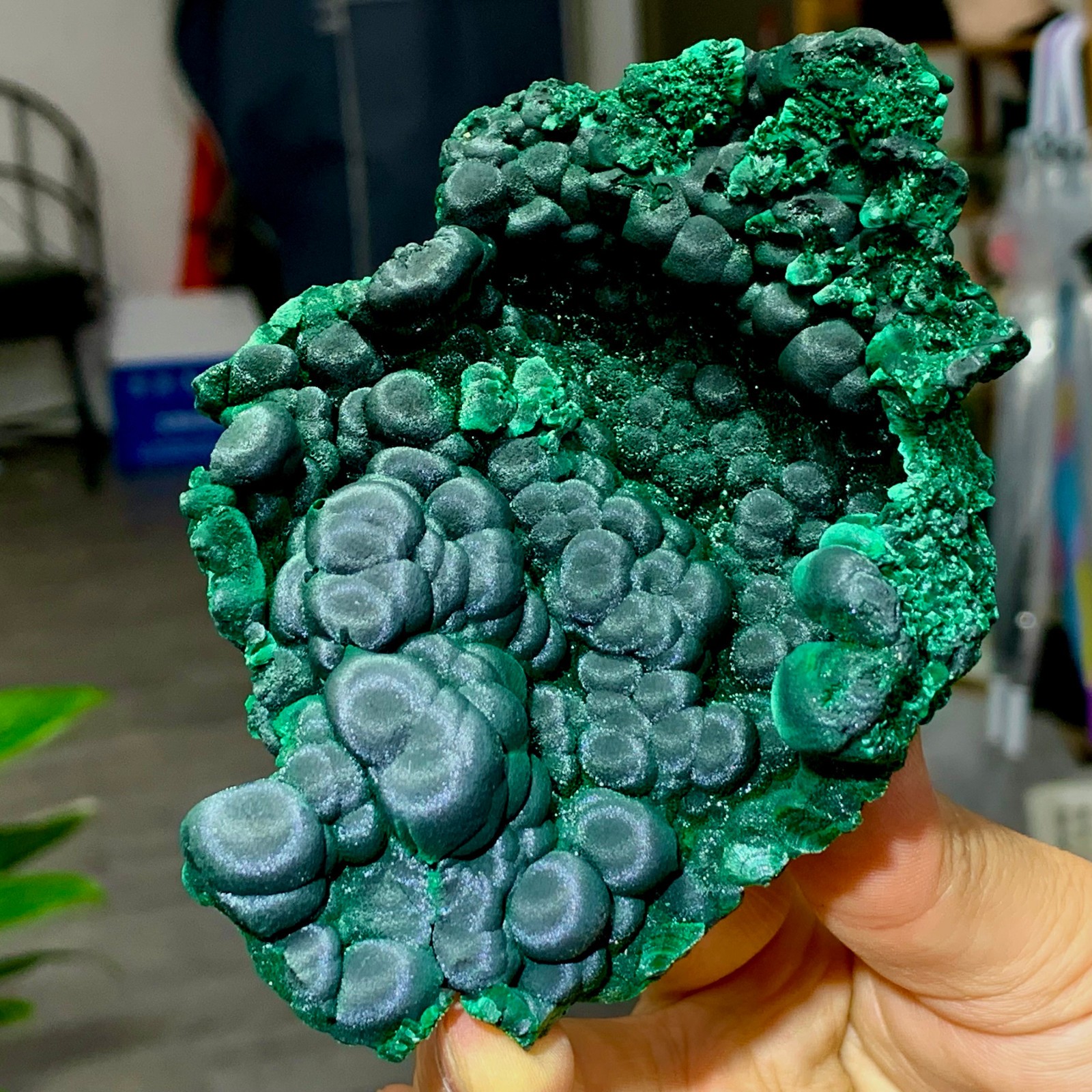205g Natural glossy malachite cat eye transparent cluster rough mineral Sample